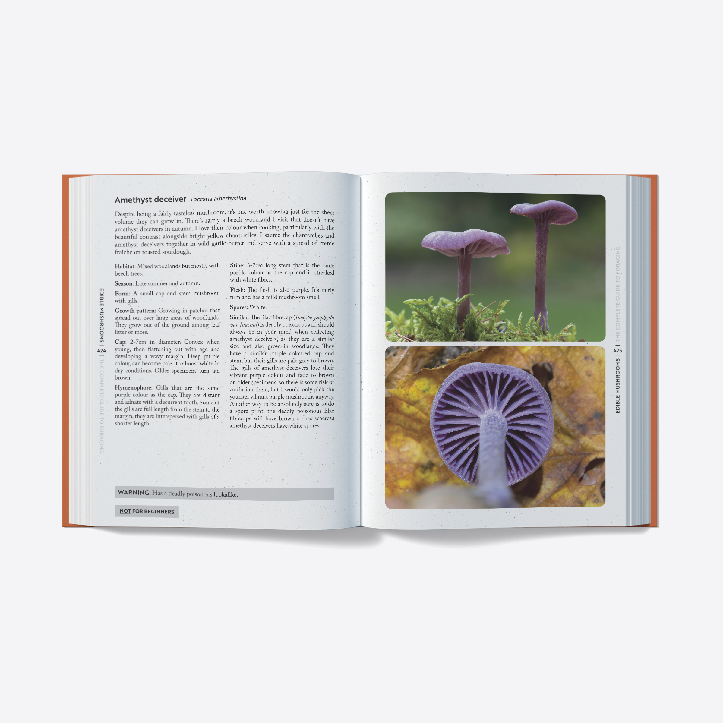 published by UK Wildcraft, Aug 2025 (photographs © UK Wildcraft)