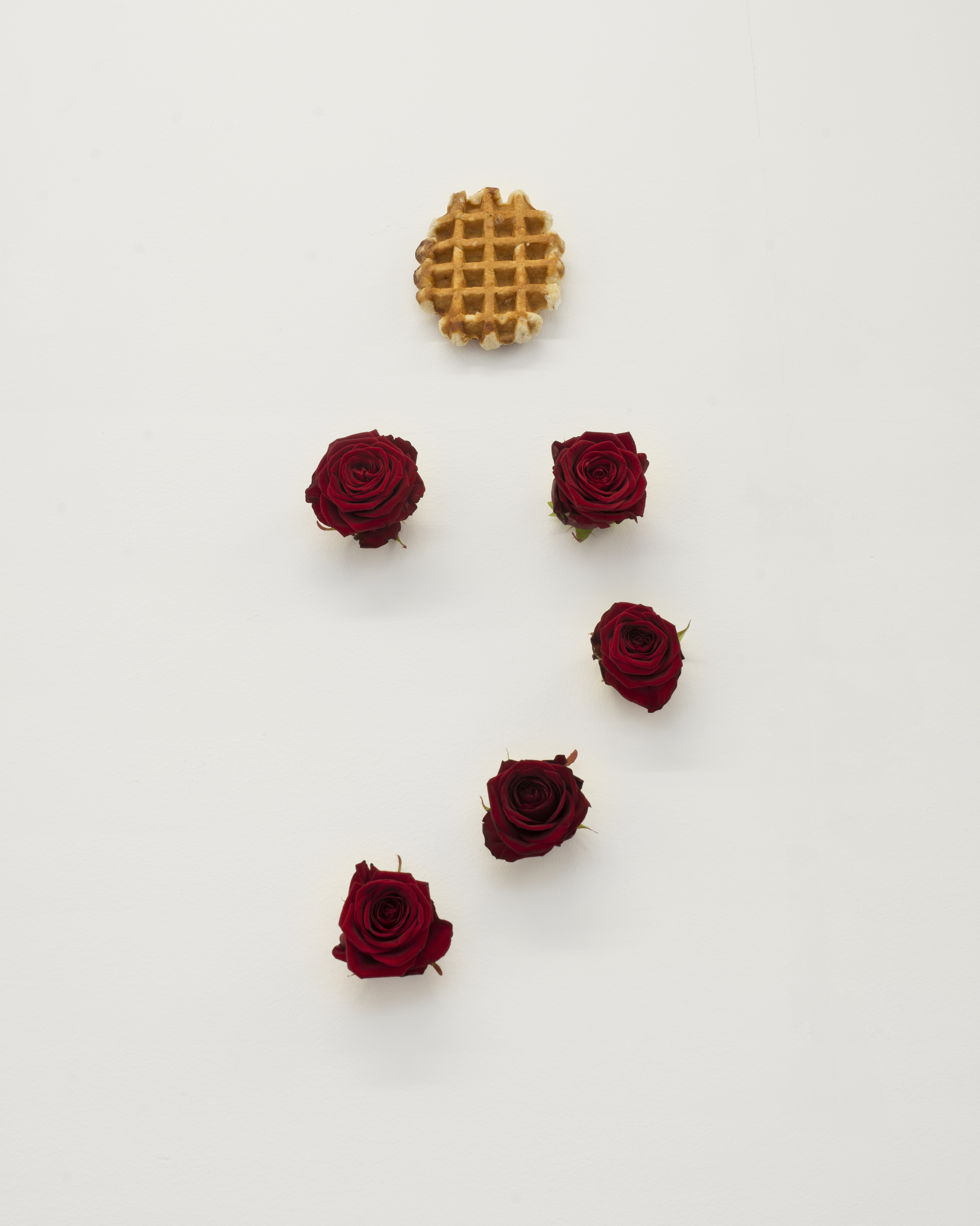 P|cture by Fabien Silvestre Suzor