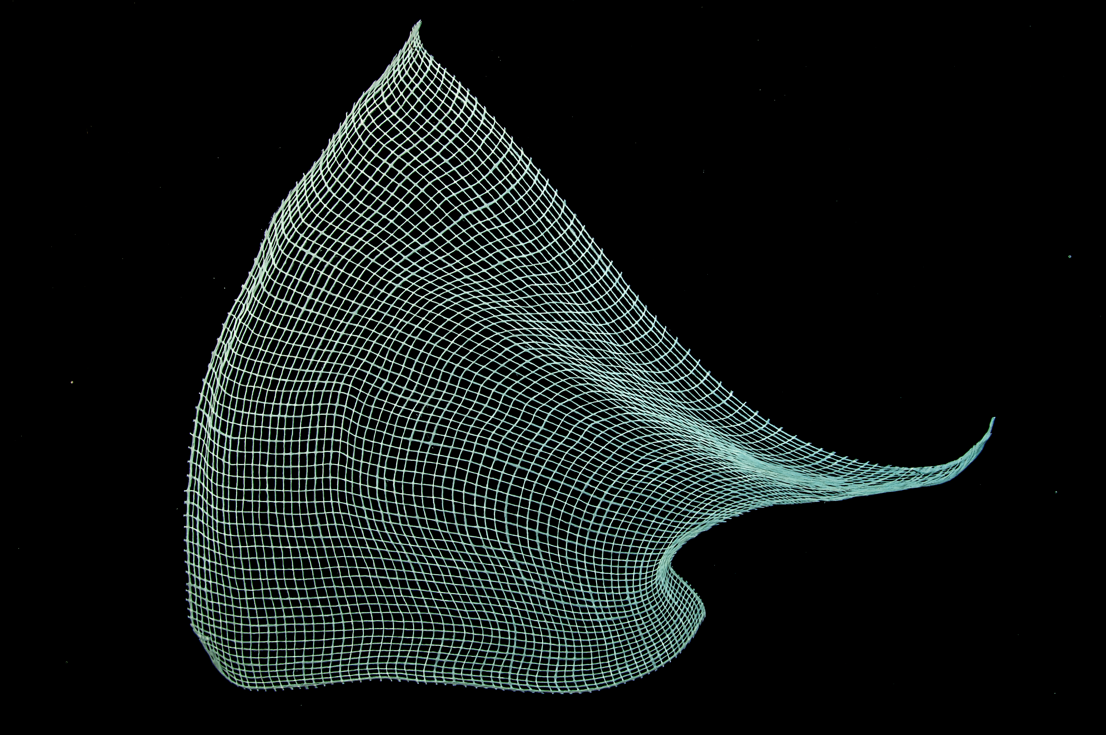 First Frost (Voices series), Hand woven cotton, stained with inks and pigments / Coton tissé à la main et teint à l’encre et aux pigments 40 1/2 x 46 1/2"