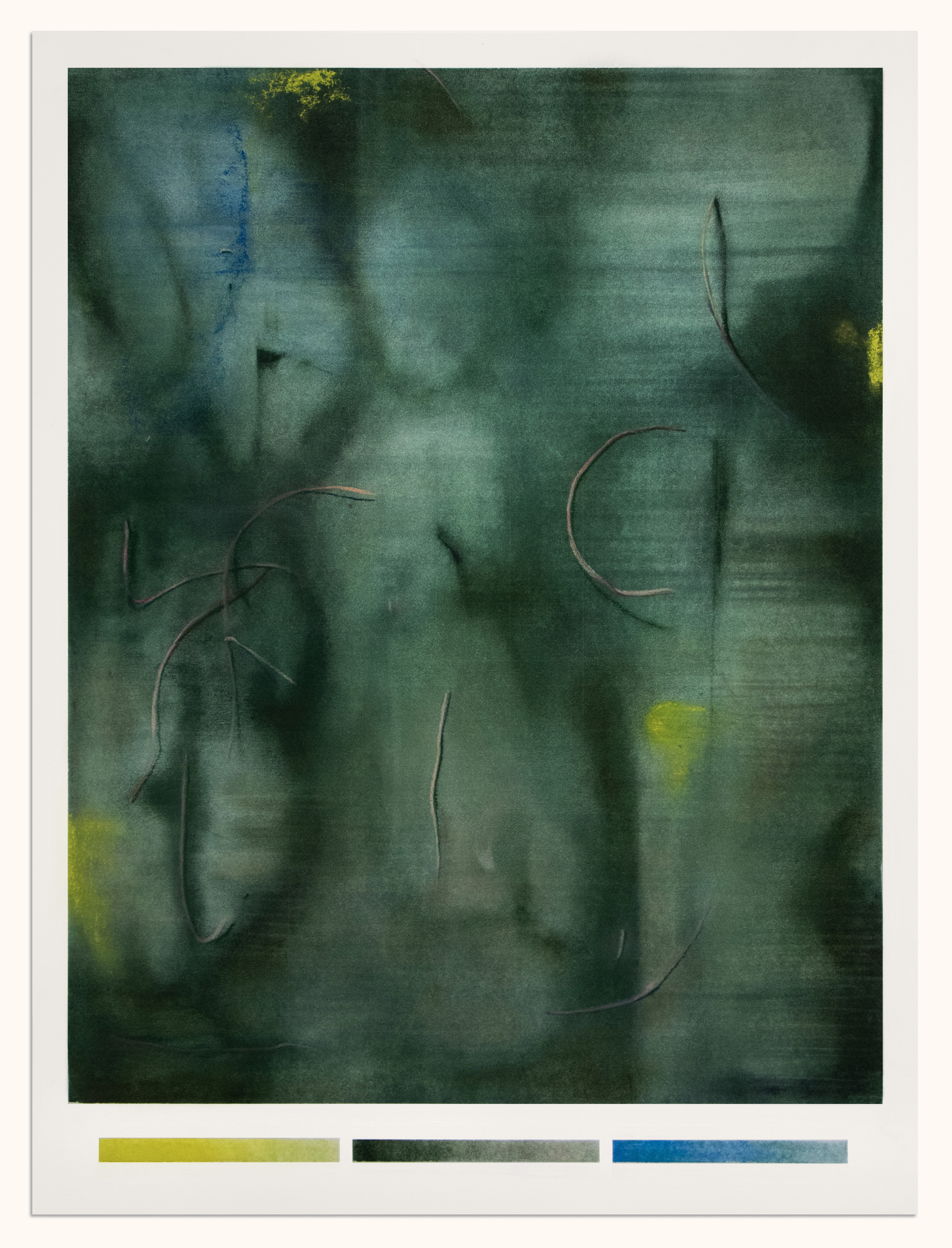 Creatures of this kind | 24" x 18" | Pastel on Paper