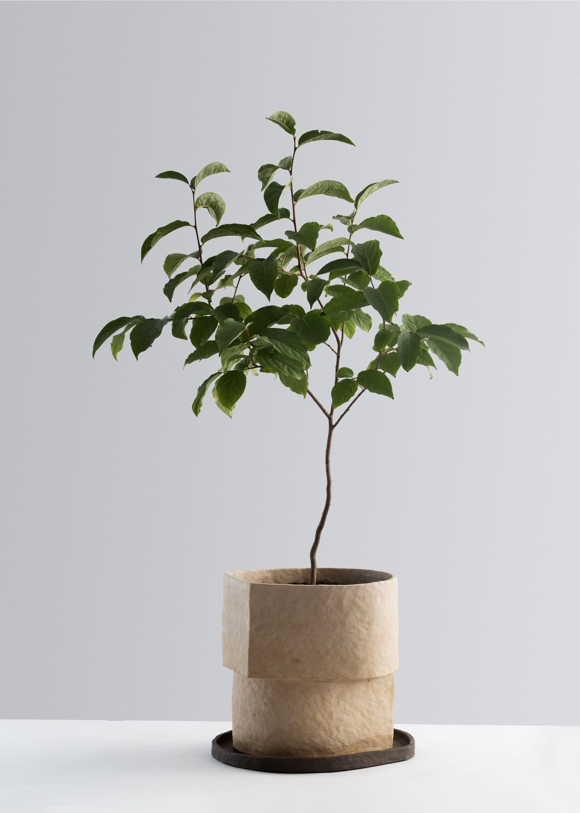 DBSR No 23 2025 Clay, handbuilt, H 35 x Ø 37 cm 