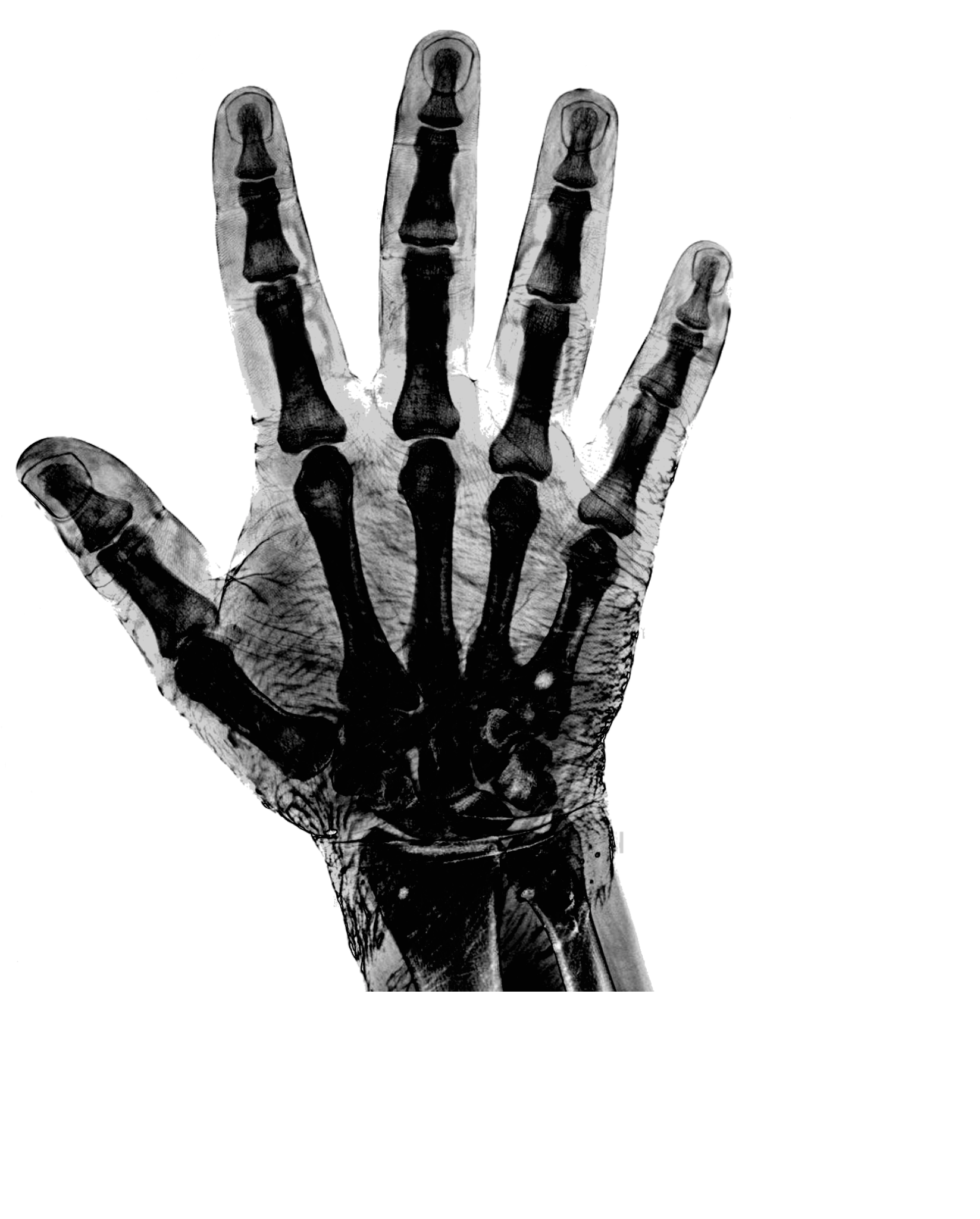 DECONSTRUCTING THE UNCANNY 