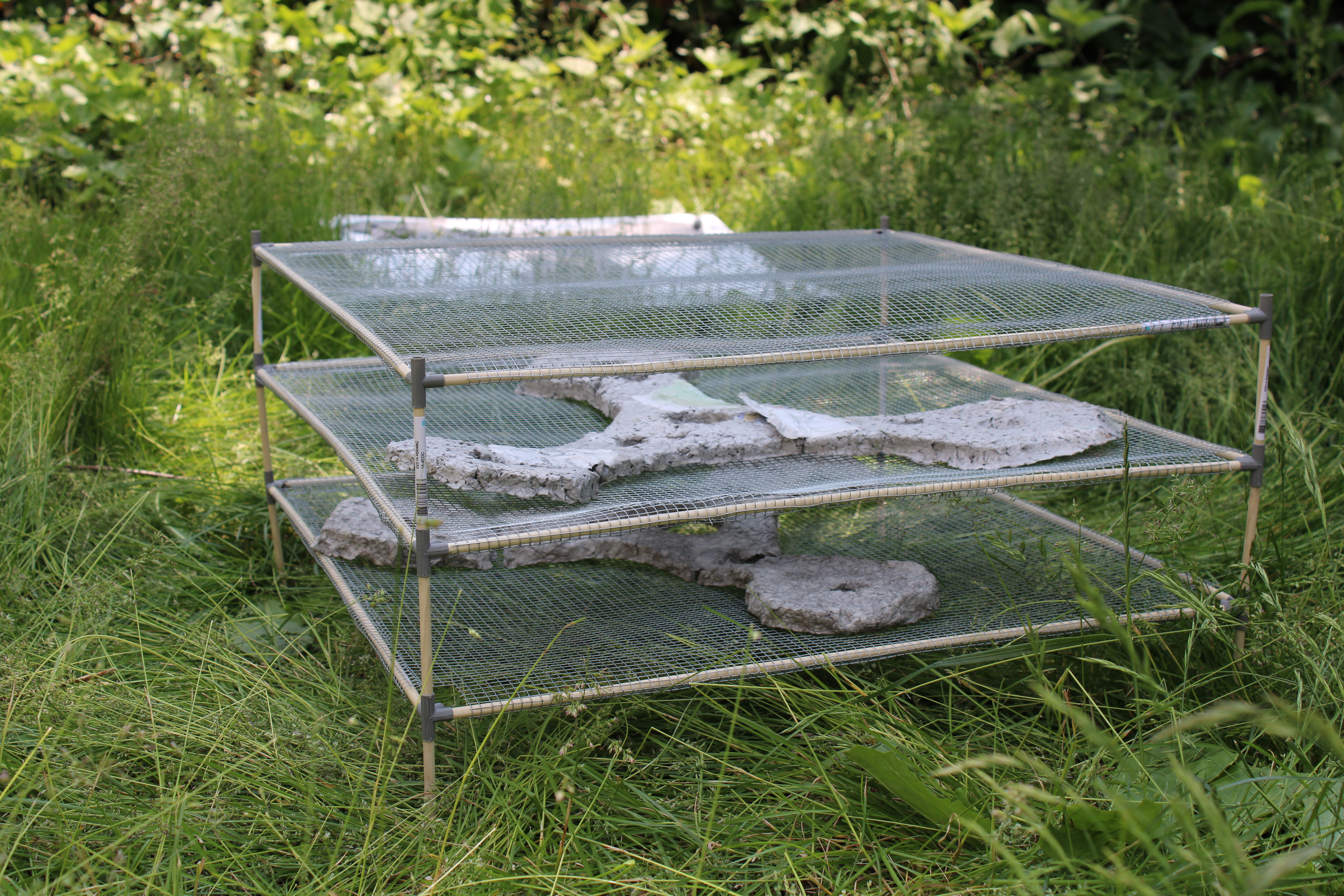 Pieces drying on the rack.