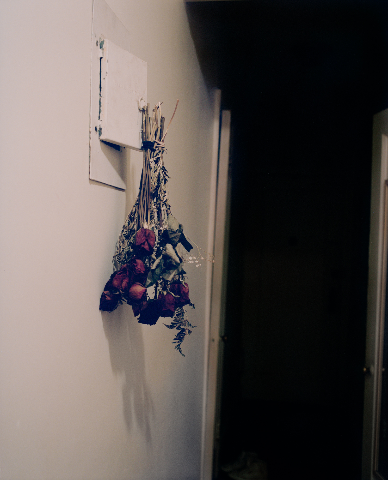 In various places around the apartment, Liz and Charles keep dried roses from anniversaries and birthdays.