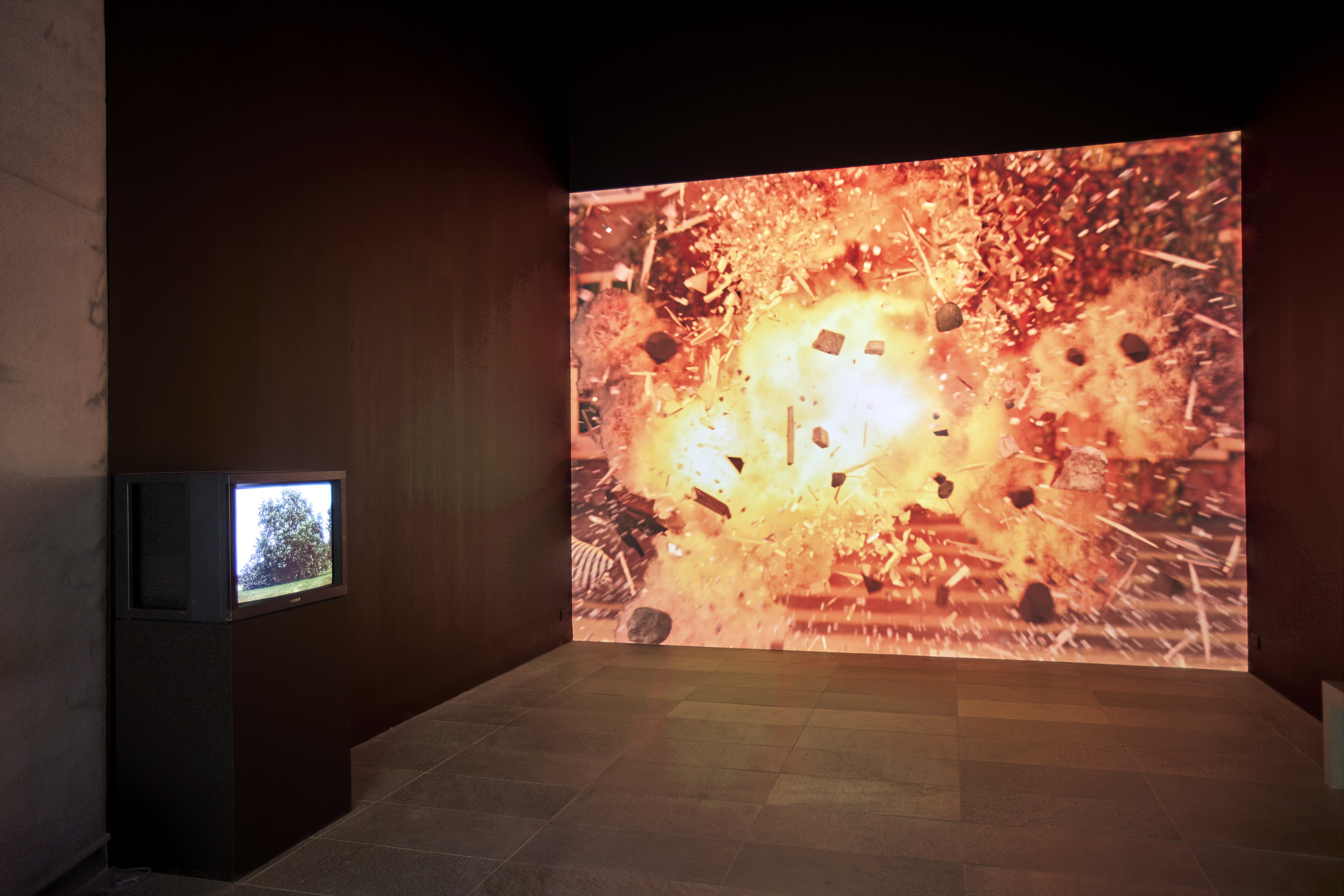 2025 photo Laëtitia Striffling-Marcu @Musée de l'Orangerie