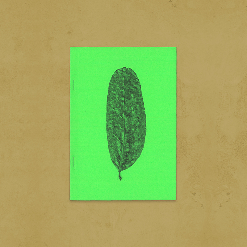 PLANT SCANSJamie Yeo