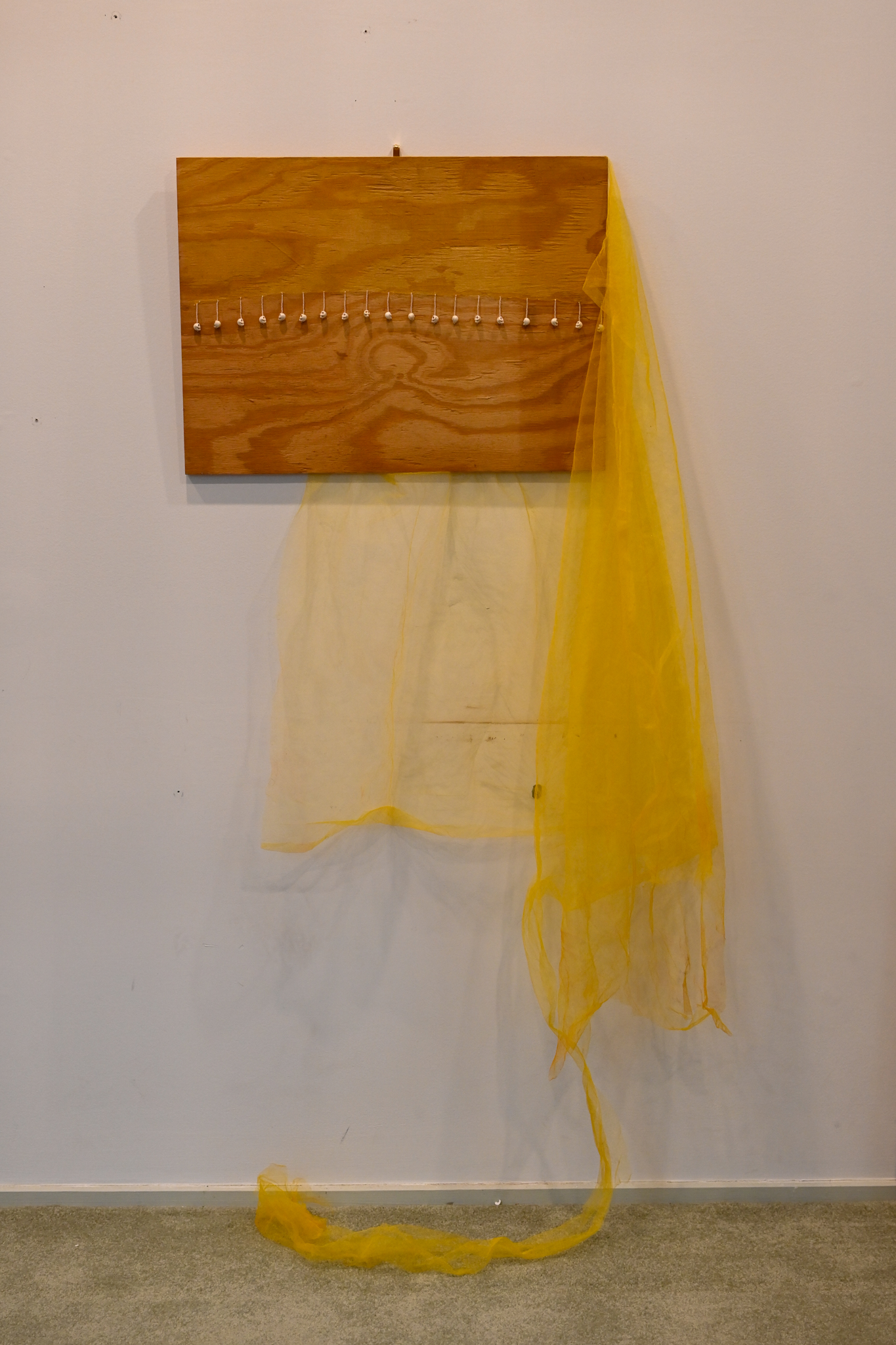 Maternology (2023) : tulle, bone beads, turmeric, wheatpaste, wood