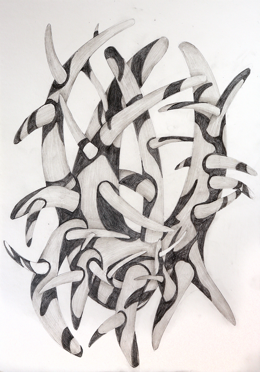 Thorns, pencil on paper, 30x20 cm, 2023