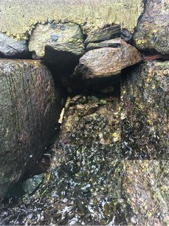 The Gap: Water entering the gap but having nowhere else to go than back, being pressed to every surface and up to the ceiling, creating the sound of surrender.&nbsp;