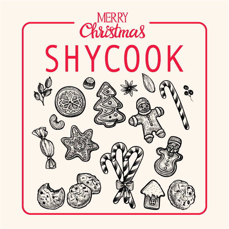 Shycook Christmas IG Post