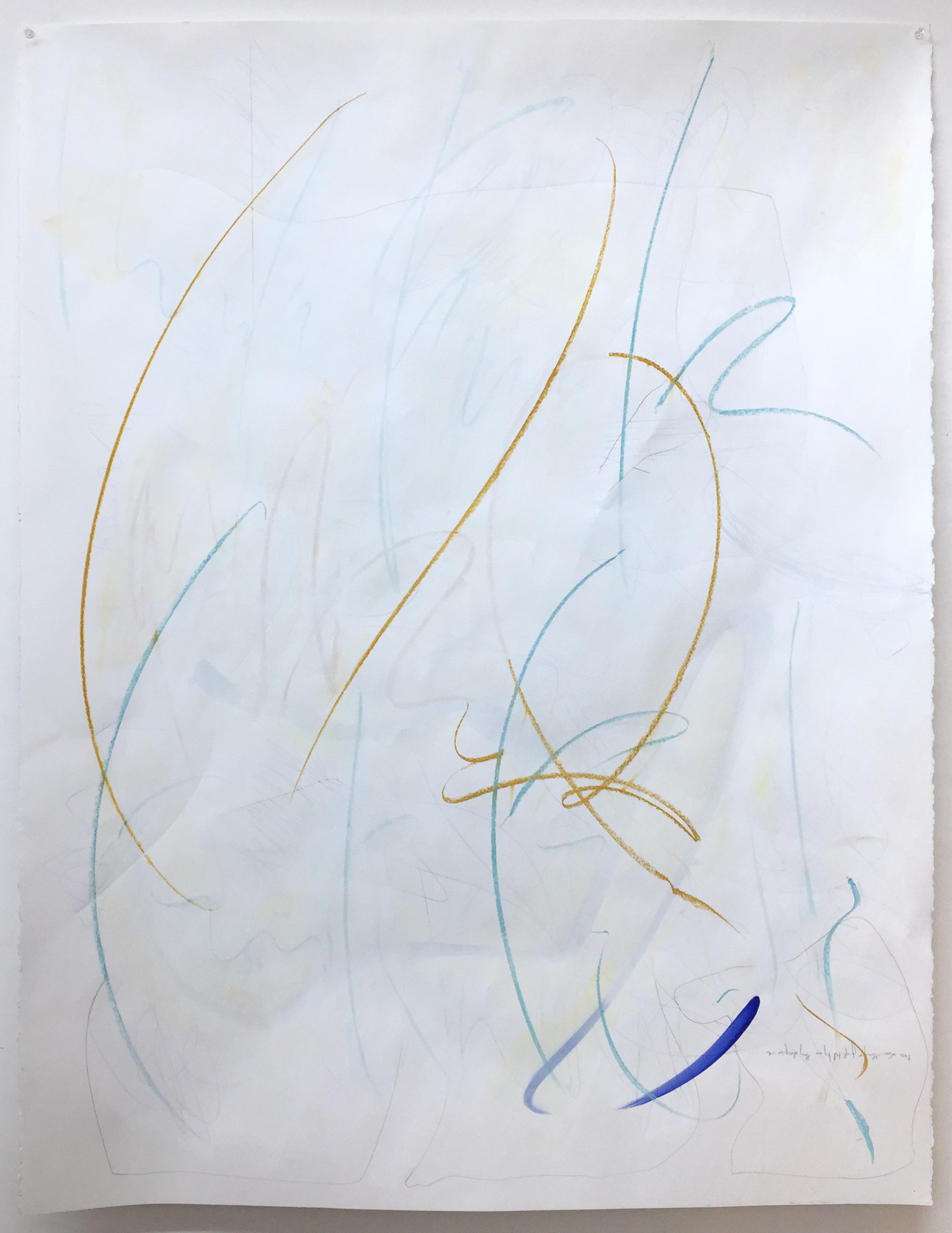 Narcissistic Personality Disorder, 2017, Acrylic, graphite, pastel, and tempera on paper, 50 x 38 inches (127 x 96.5 cm)