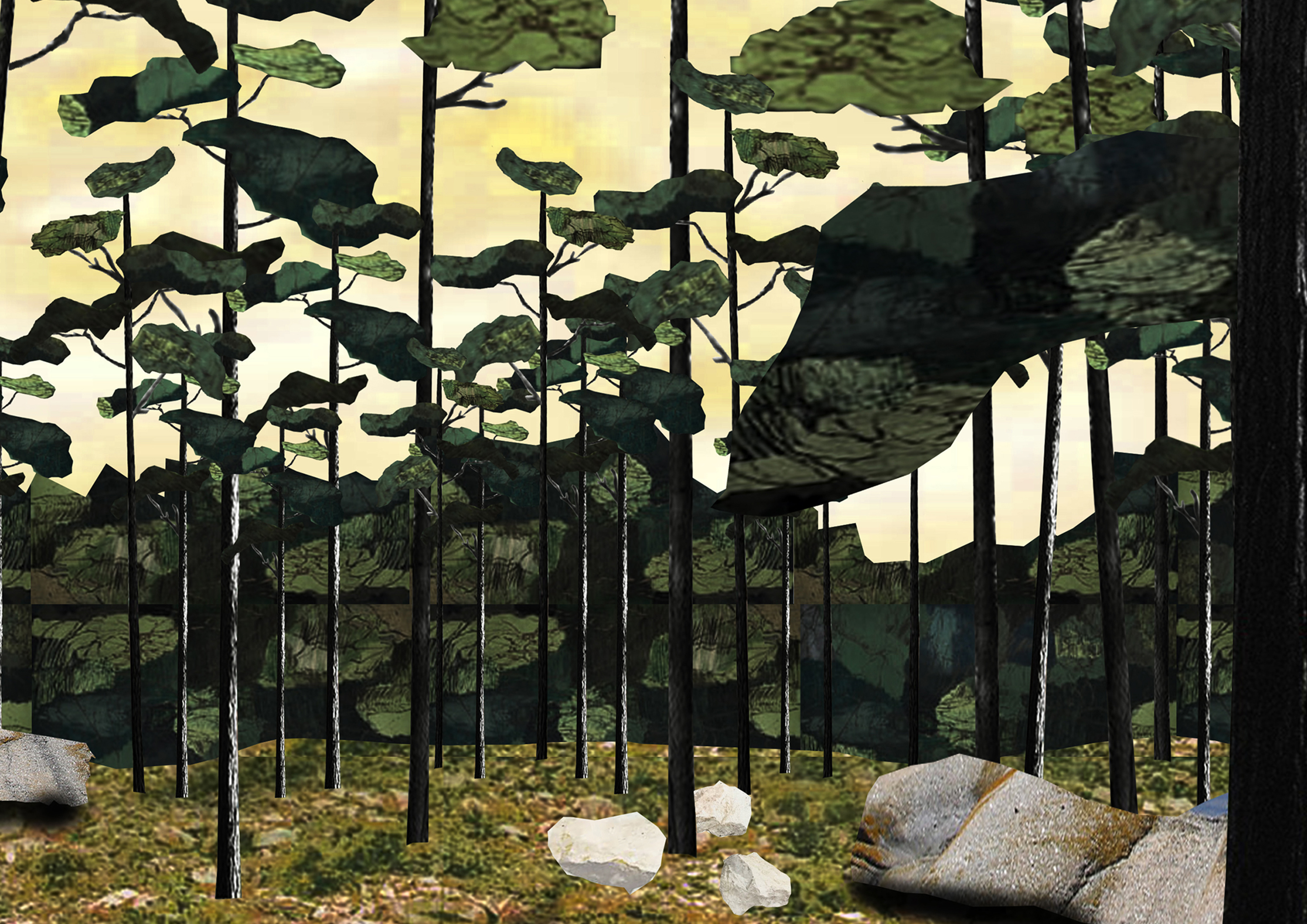 bygning i en furuskog. 2019