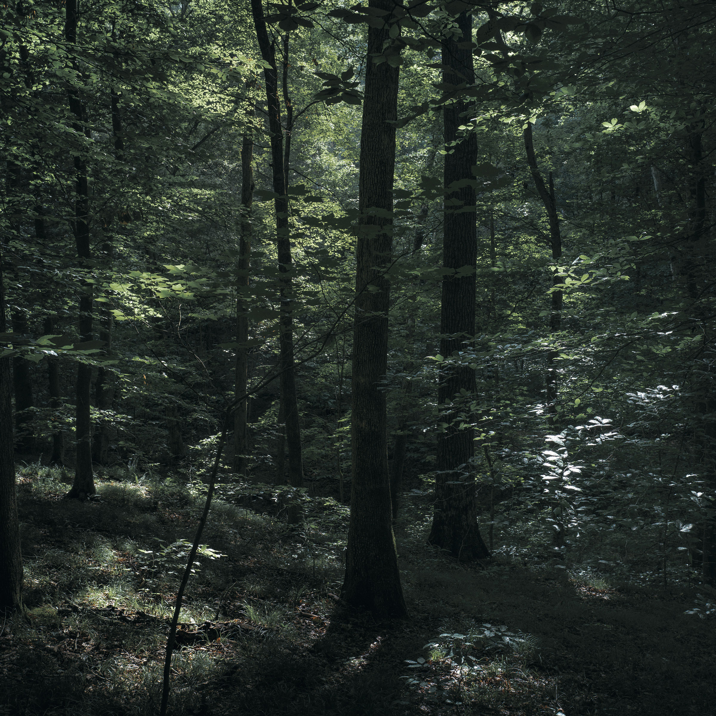 Back Again / Sunshine Made Her Cry