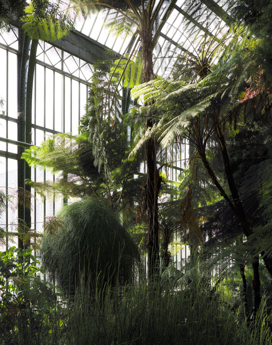 NATIONAL MUSEUM OF NATURAL HISTORY, PARIS 