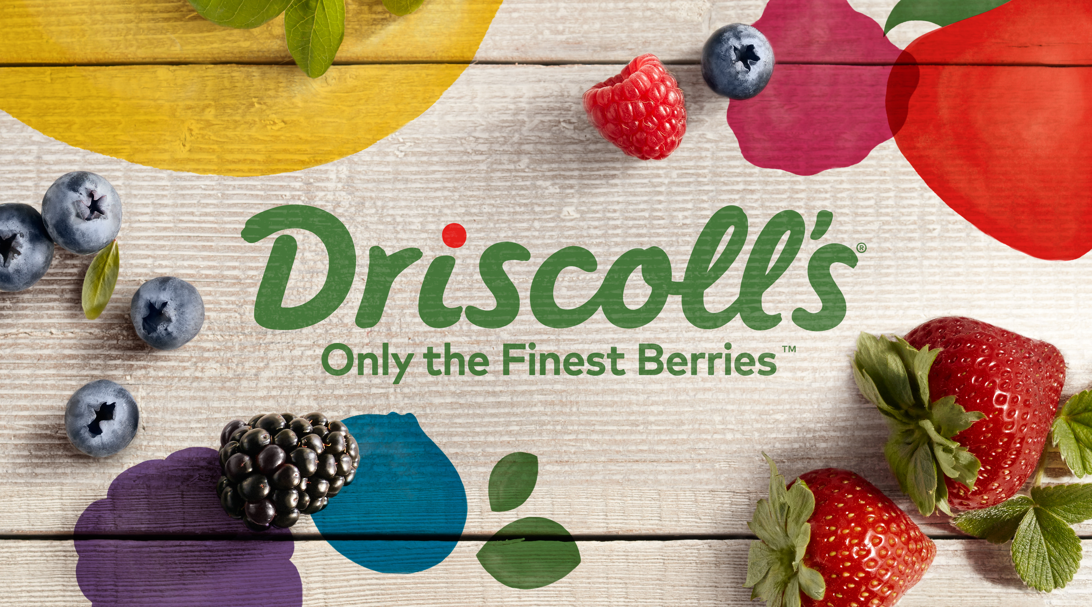 This once. Driscoll's ягоды. Бренд Berry. Берри бренды. Driscolls Berries staff.