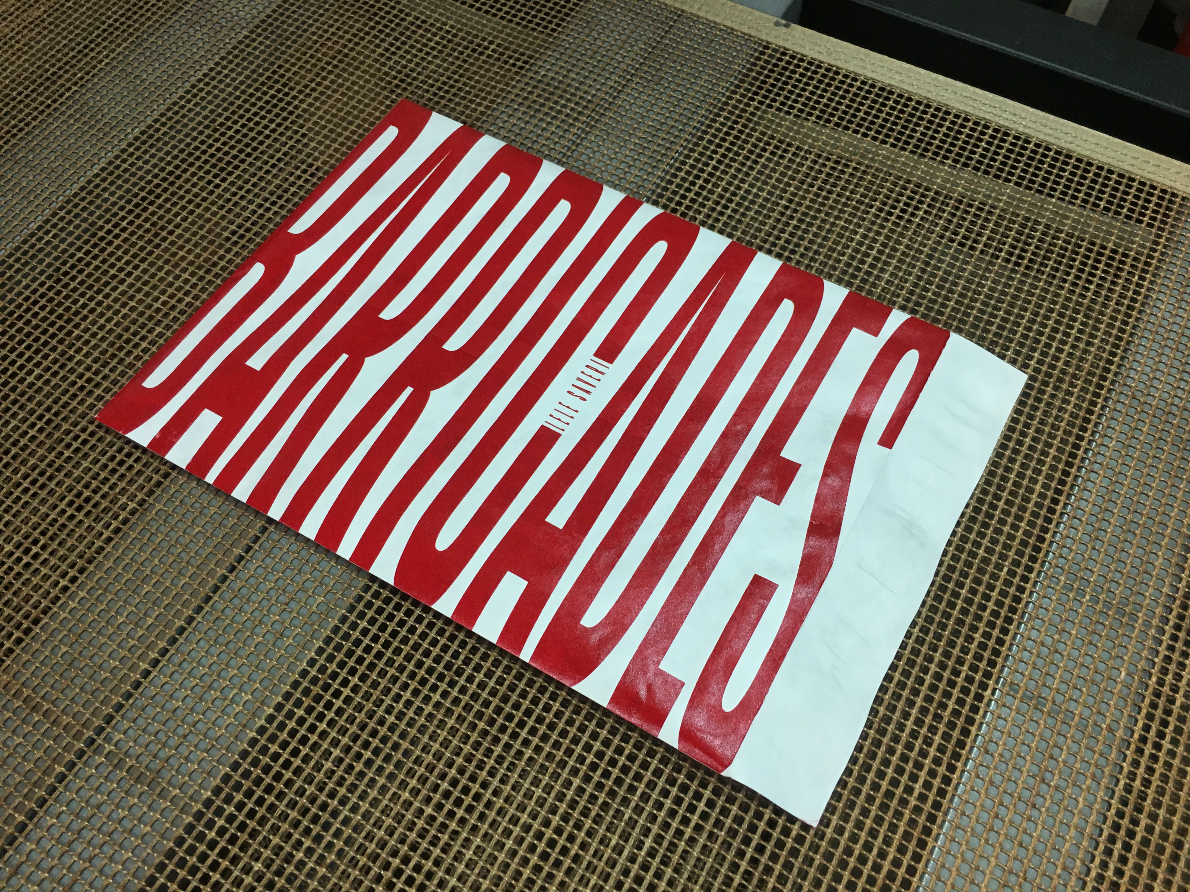 Tyvek Envelope