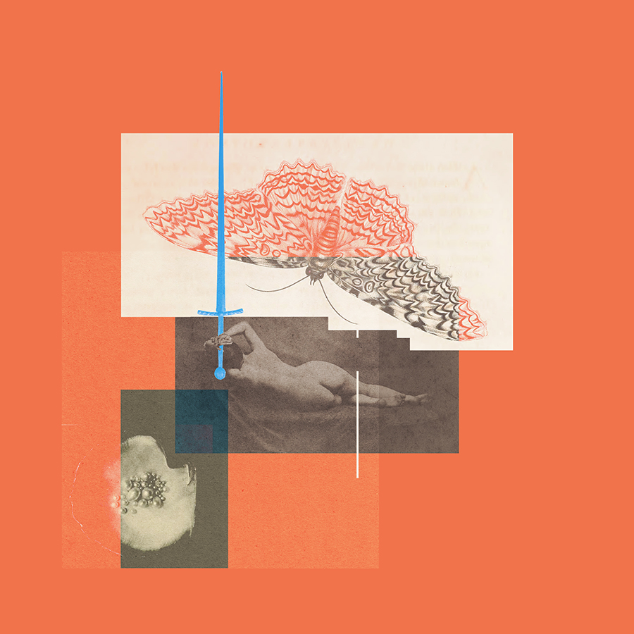 362. i won't rest until i've slain all my dragons 24.12.24