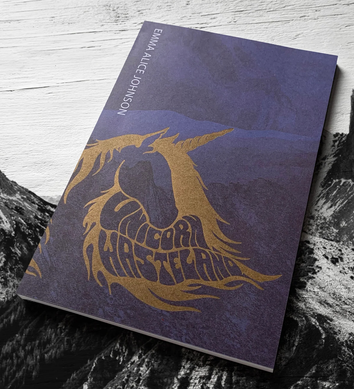 Cover of Unicorn Wasteland (novel), 2021