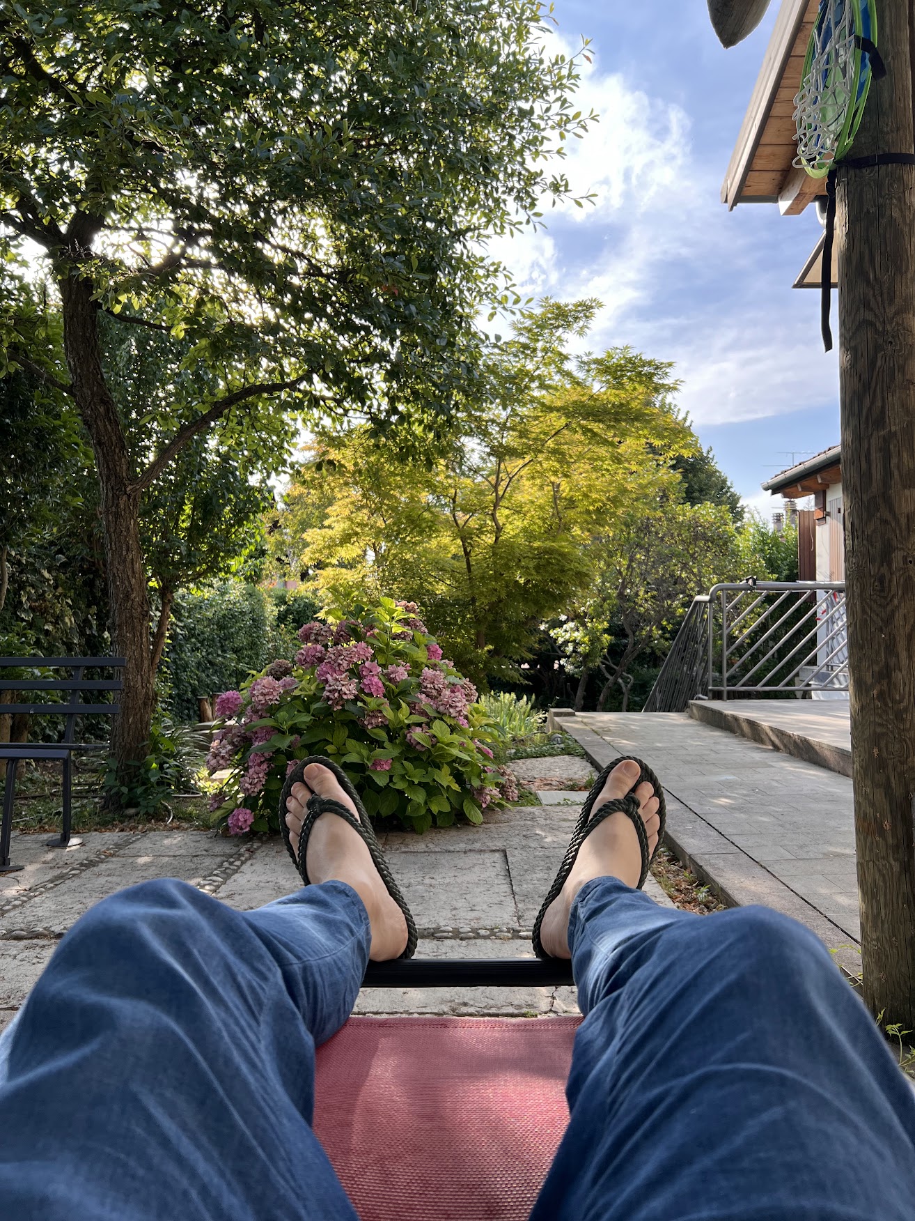 In panciolle, Bologna, 6-7-2023