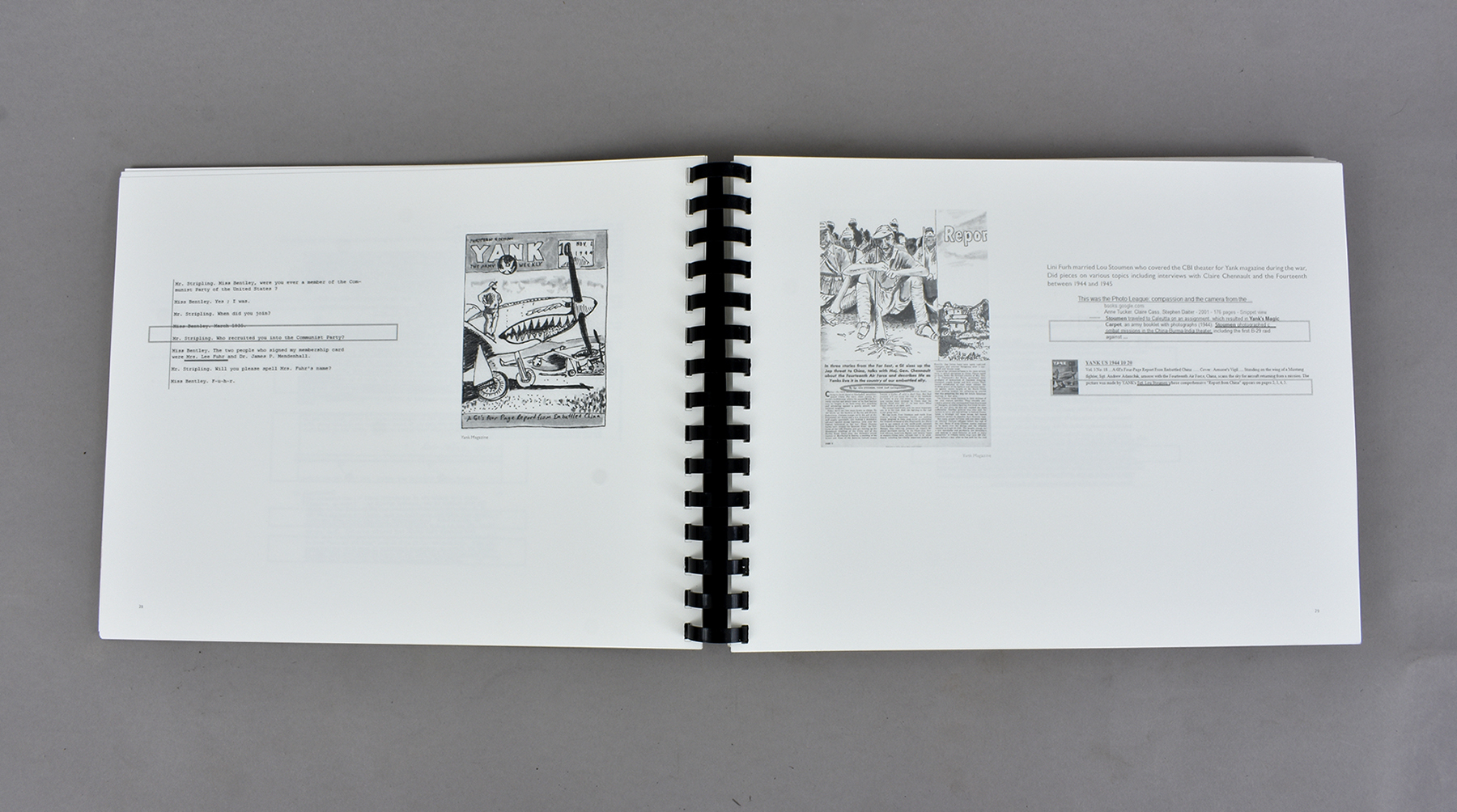Interior Spread, "The Black Dahlia And Rudolph Schindler - A Blueprint For Murder by Crow"