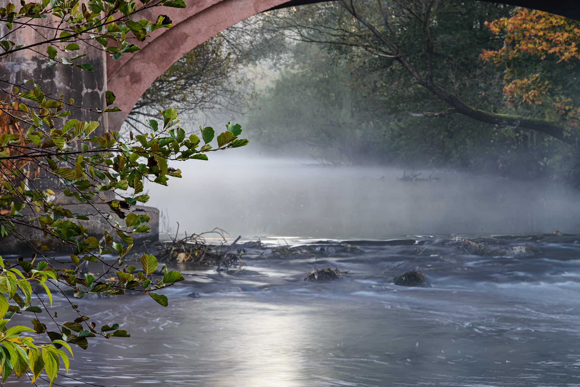 La Savoureuse, 41,2 km de longueur, prend sa source à Lepuix, 60m sous le sommet du Ballon d'Alsace qui culmine à 1 250m.
