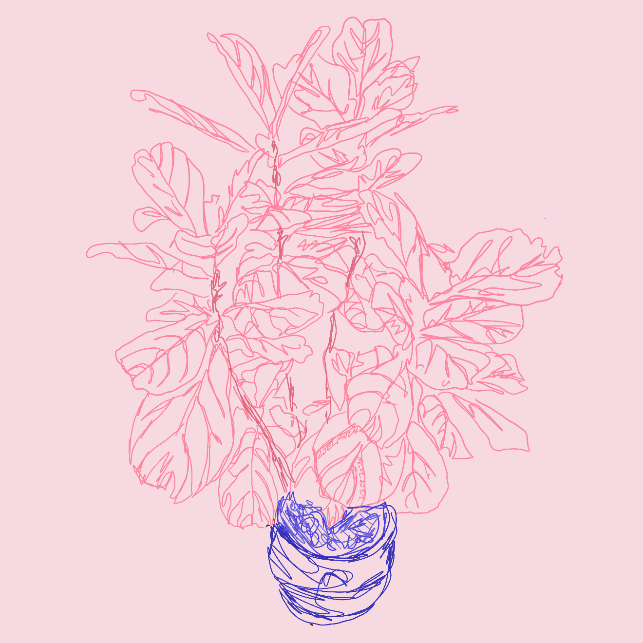 FIg Study