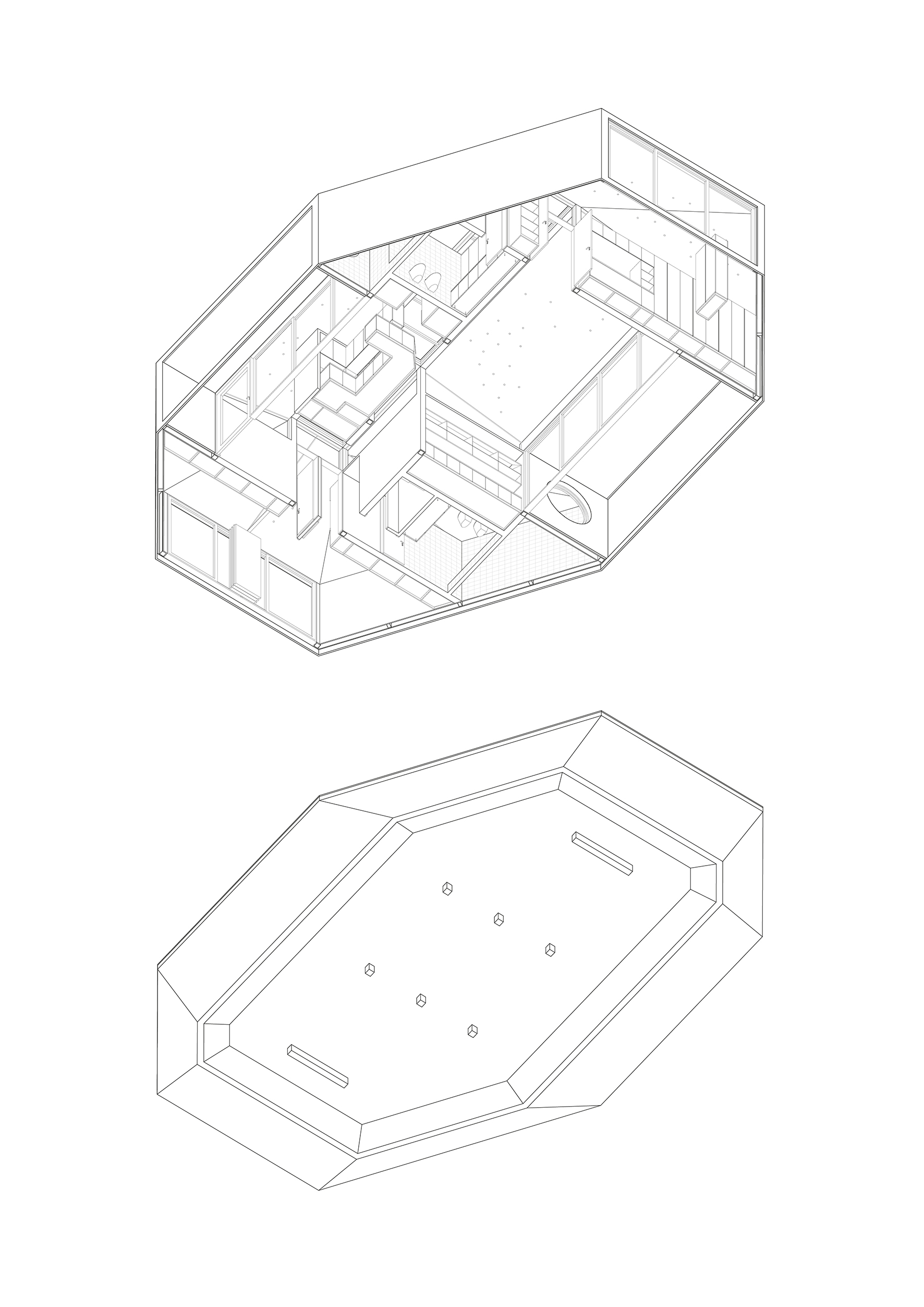 Organizacion Interna