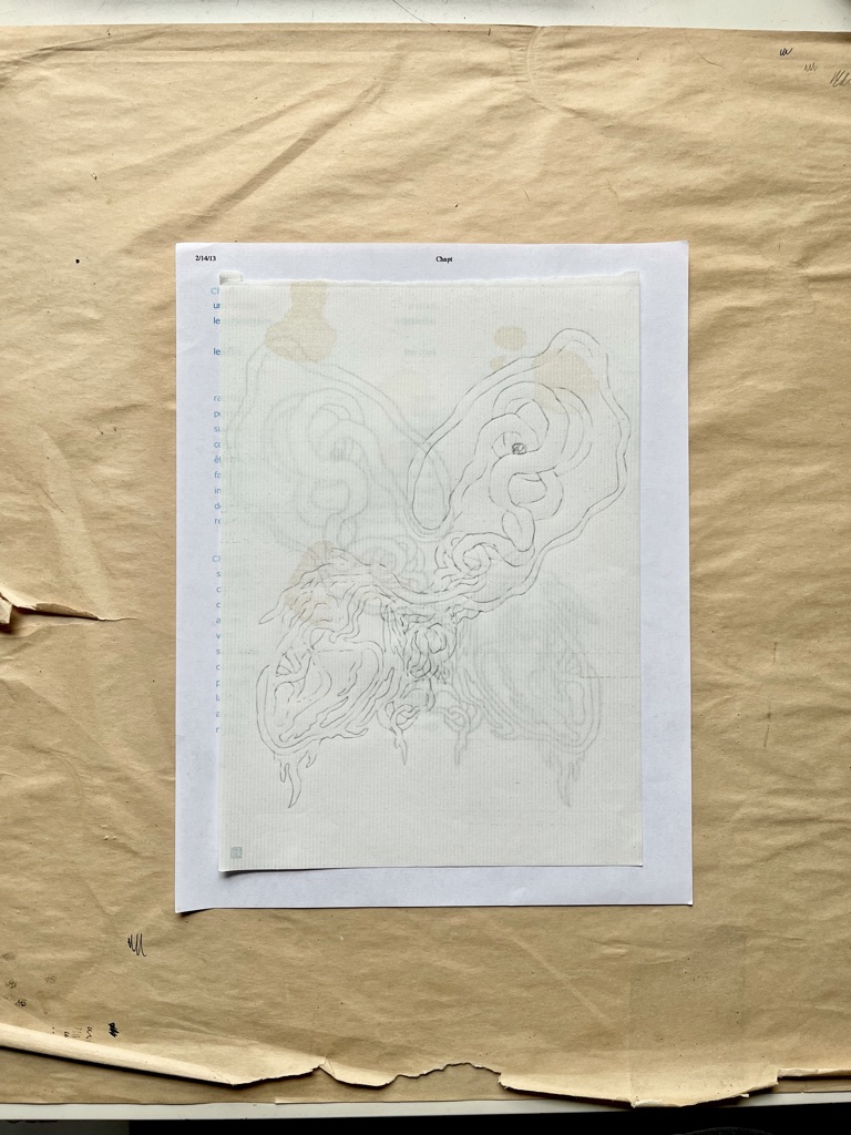 Bilateria 2, 2022. Graphite monotype on found paper, Japanese letter paper, stain.