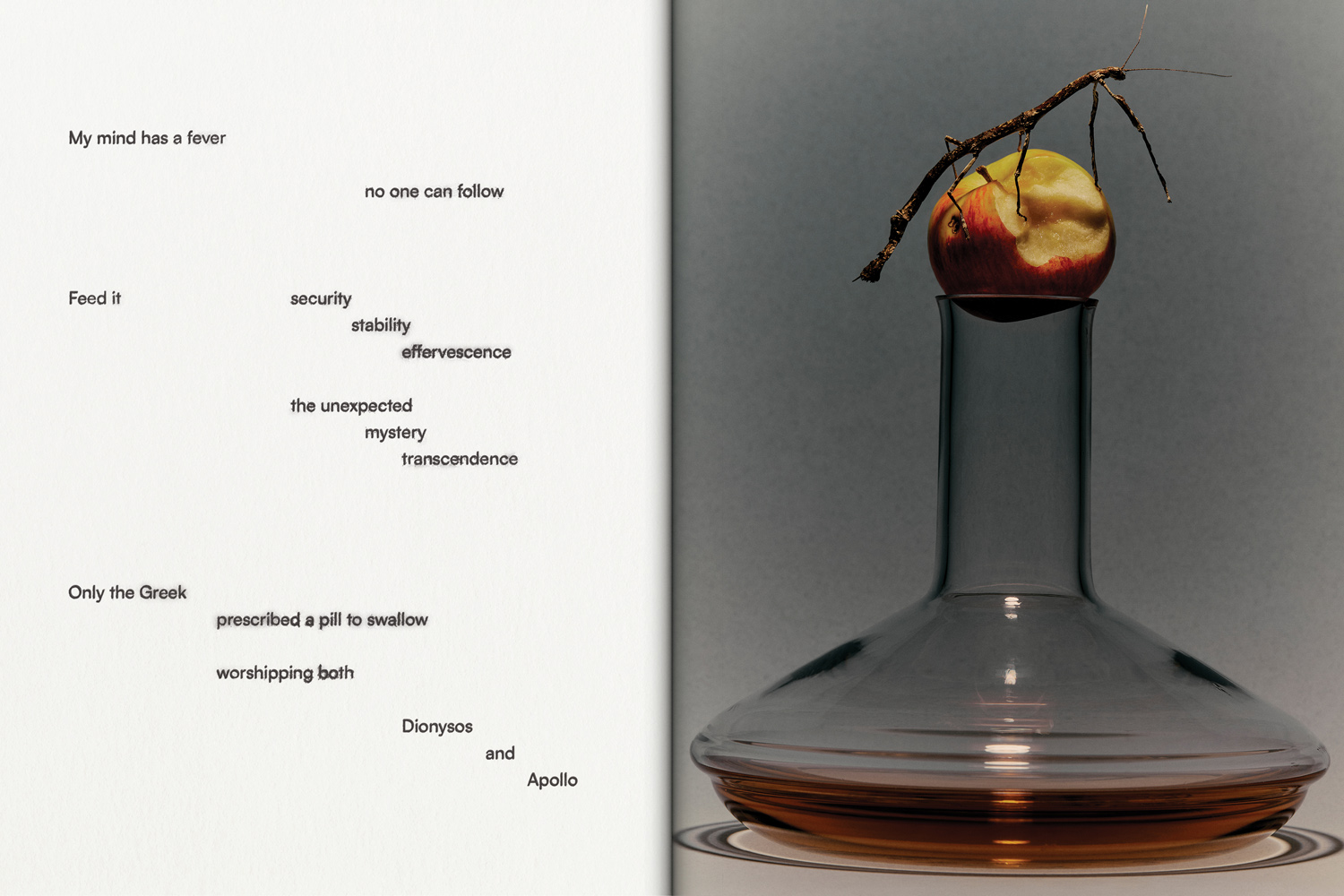 Revue Magazine, graphic design and poems