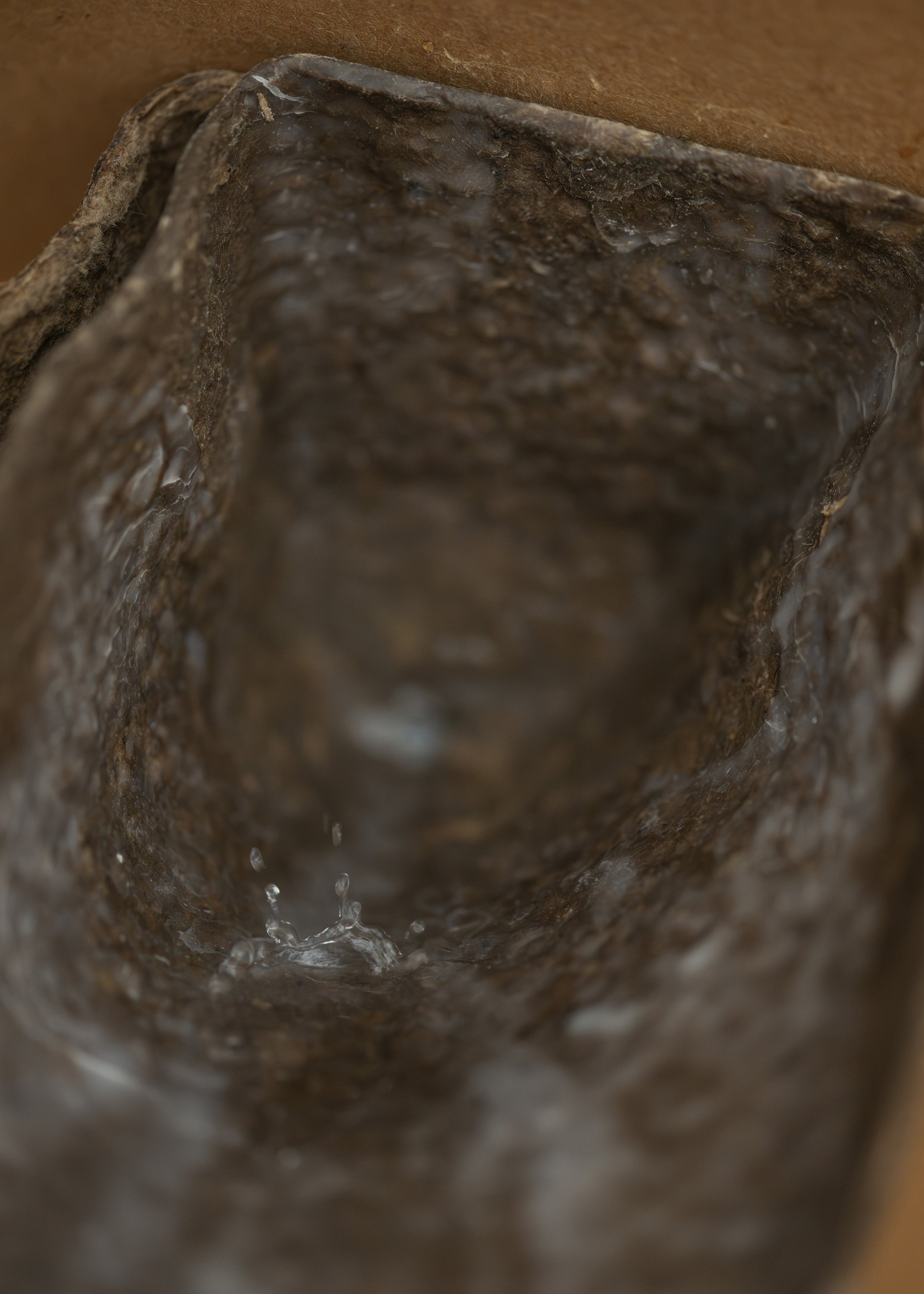 All Of My Shoes (Tempo), 2025. Close-up.