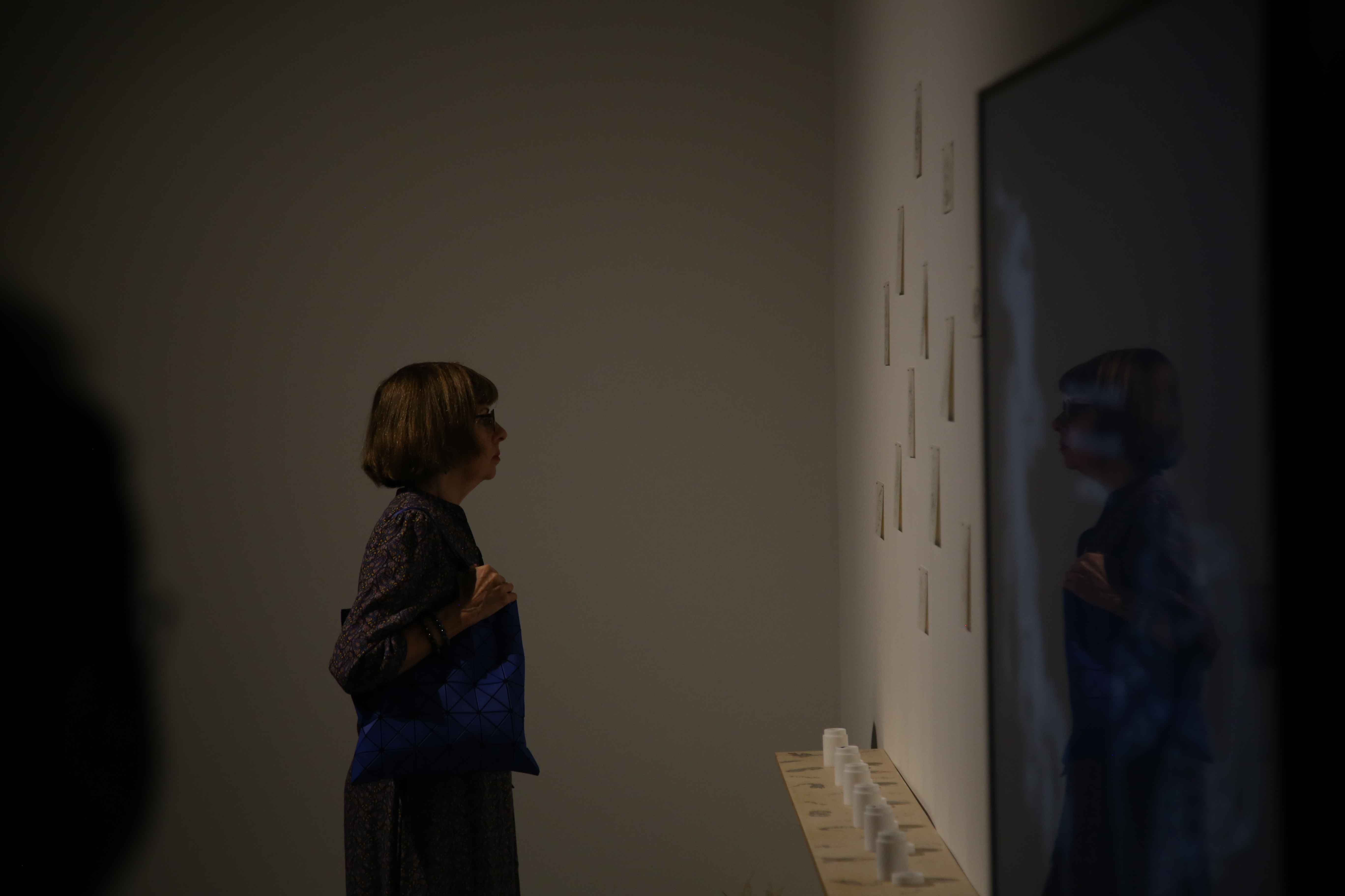 Artefact Garden(2024), Institute of Contemporary Ar