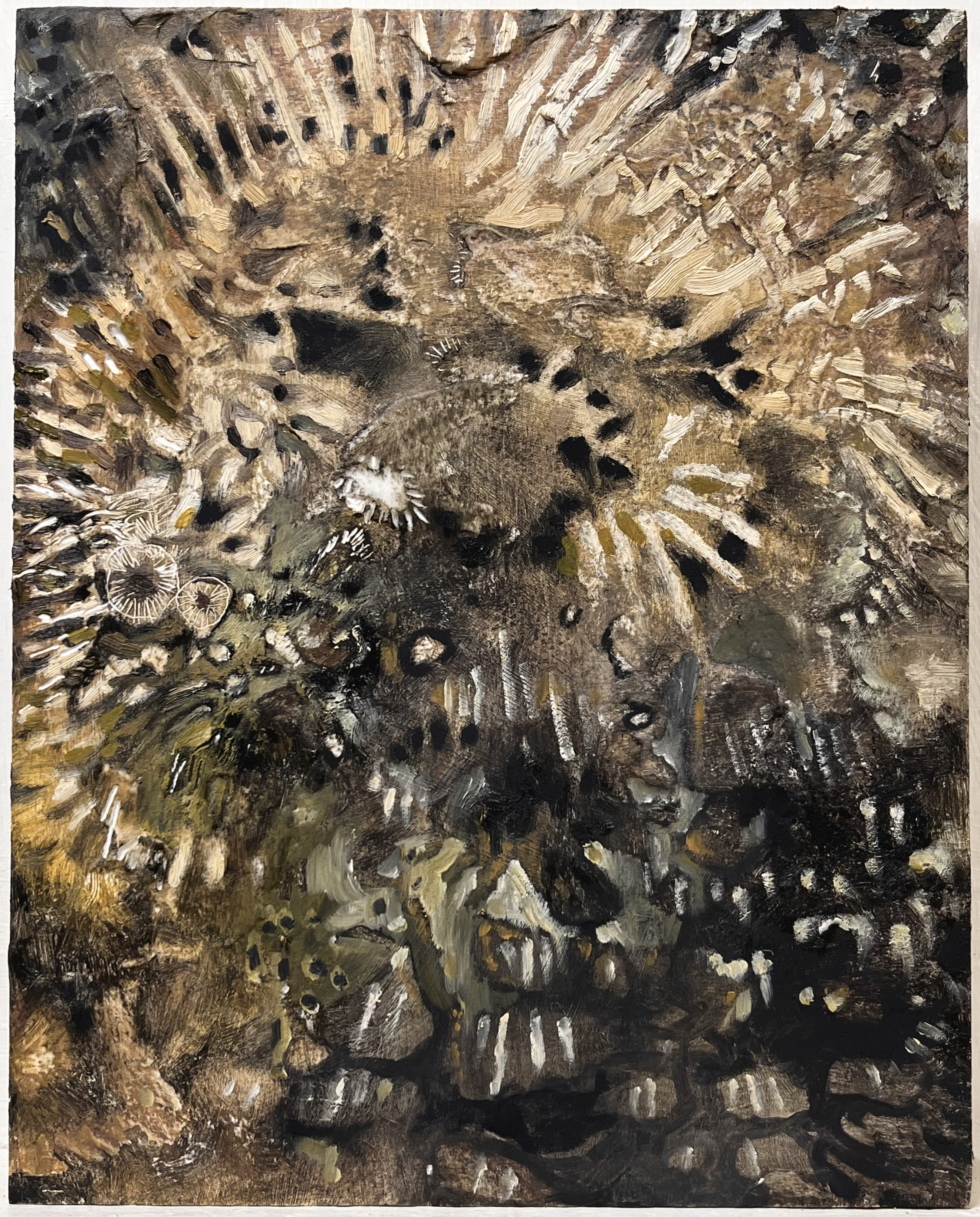 dead sunflower | 10 x 8 inches | oil on panel