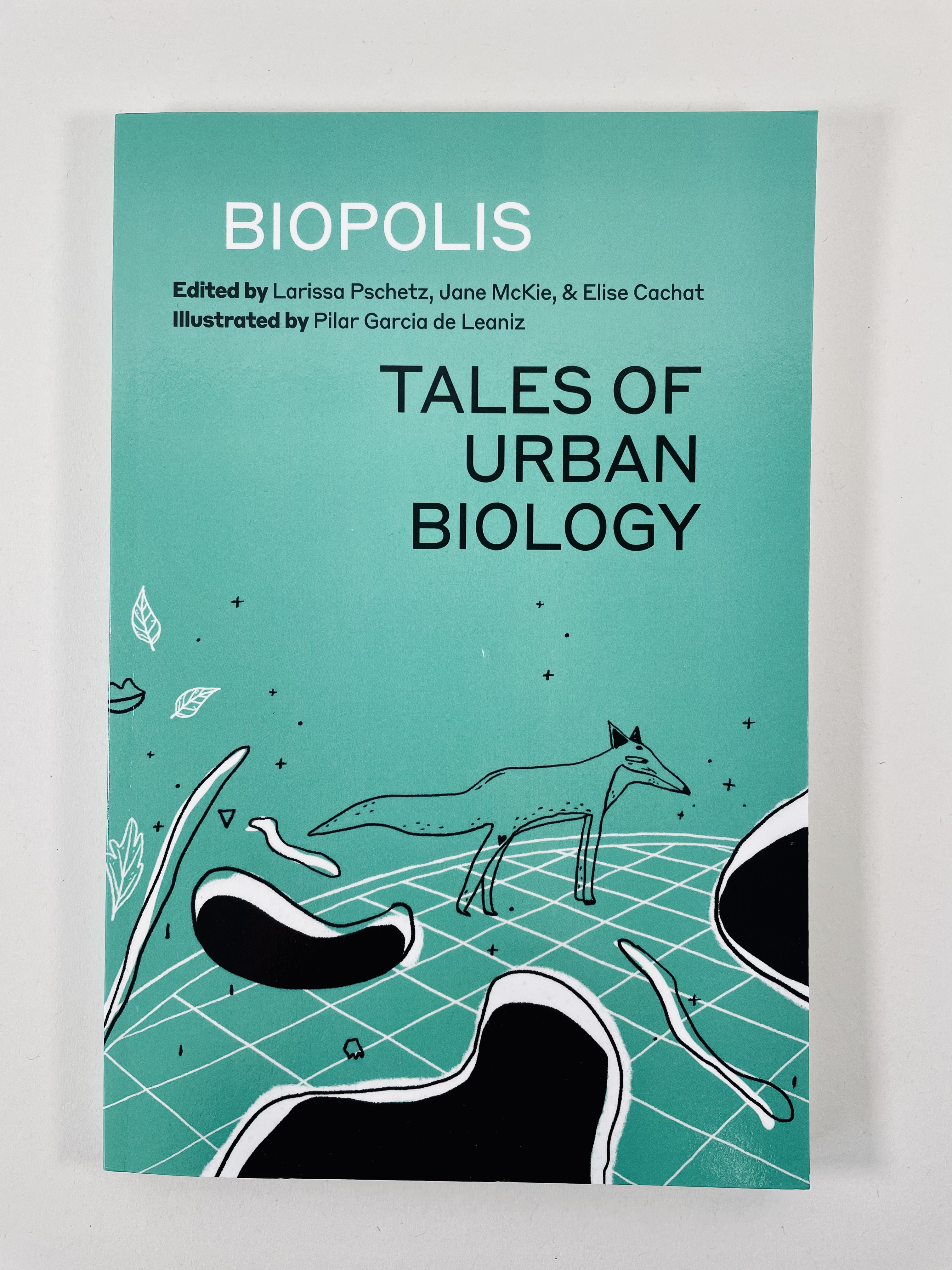 Publication · Shoreline of Infinity