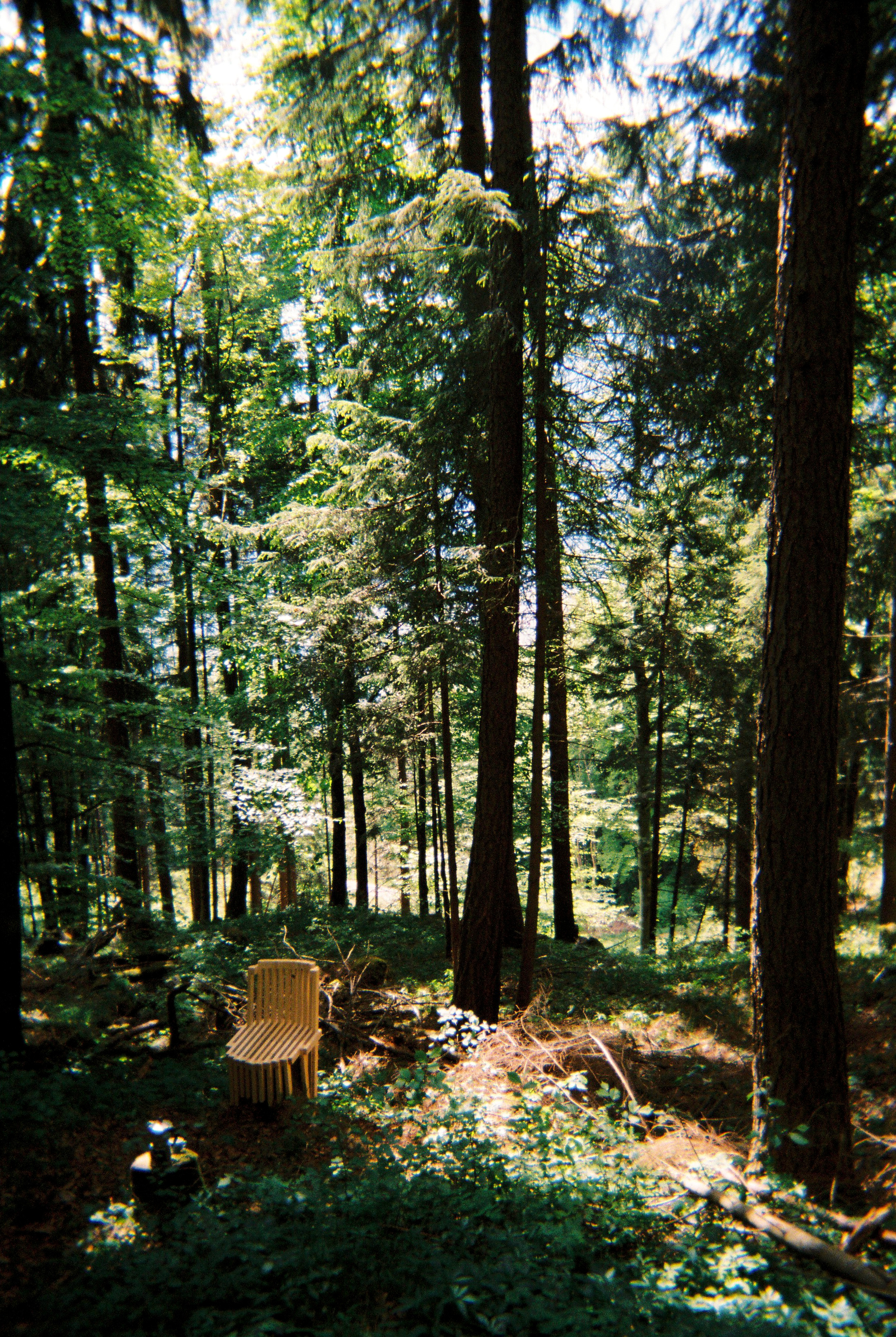Photographs taken while walking on THE LINE in Liechtenstein by Studio Venice