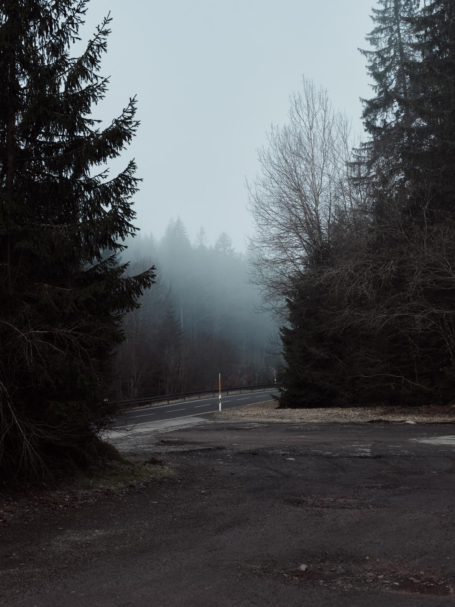 Society, 2024, Les Derniers Moments de Liberté d‘Alexeï Navalny; Die Serie zeigt Orte im Schwarzwald, an denen sich Alexeï Nawalny im Jahr 2020 mehrere Monate aufhielt, bevor er nach Russland zurückkehrte – Freiburg i.B./St.Blasien/Ibach, Deutschland