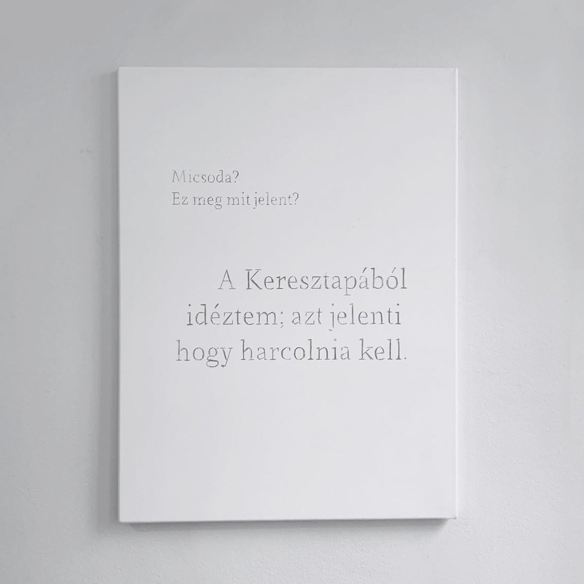 17/20 — ILLATSZERTÁR (PARFUMERIE).  Inspired by her pursuit of learning to speak and write Hungarian, Quinn revisits the exploration of language as form in the project Illatszertár (Parfumerie). The title references the play of the same name, written by the Hungarian-born Miklós László. After László immigrated to America, Illatszertár was used as the storyline for the motion pictures The Shop Around the Corner, and, more recently, You've Got Mail. For the works created for Illatszertár, Quinn surveys these films' English scripts, extracting and translating text selections, returning their collective story to their language of origin. The project takes form across fifteen graphite works on linen, three photographs, and a printed pamphlet, 2019.
