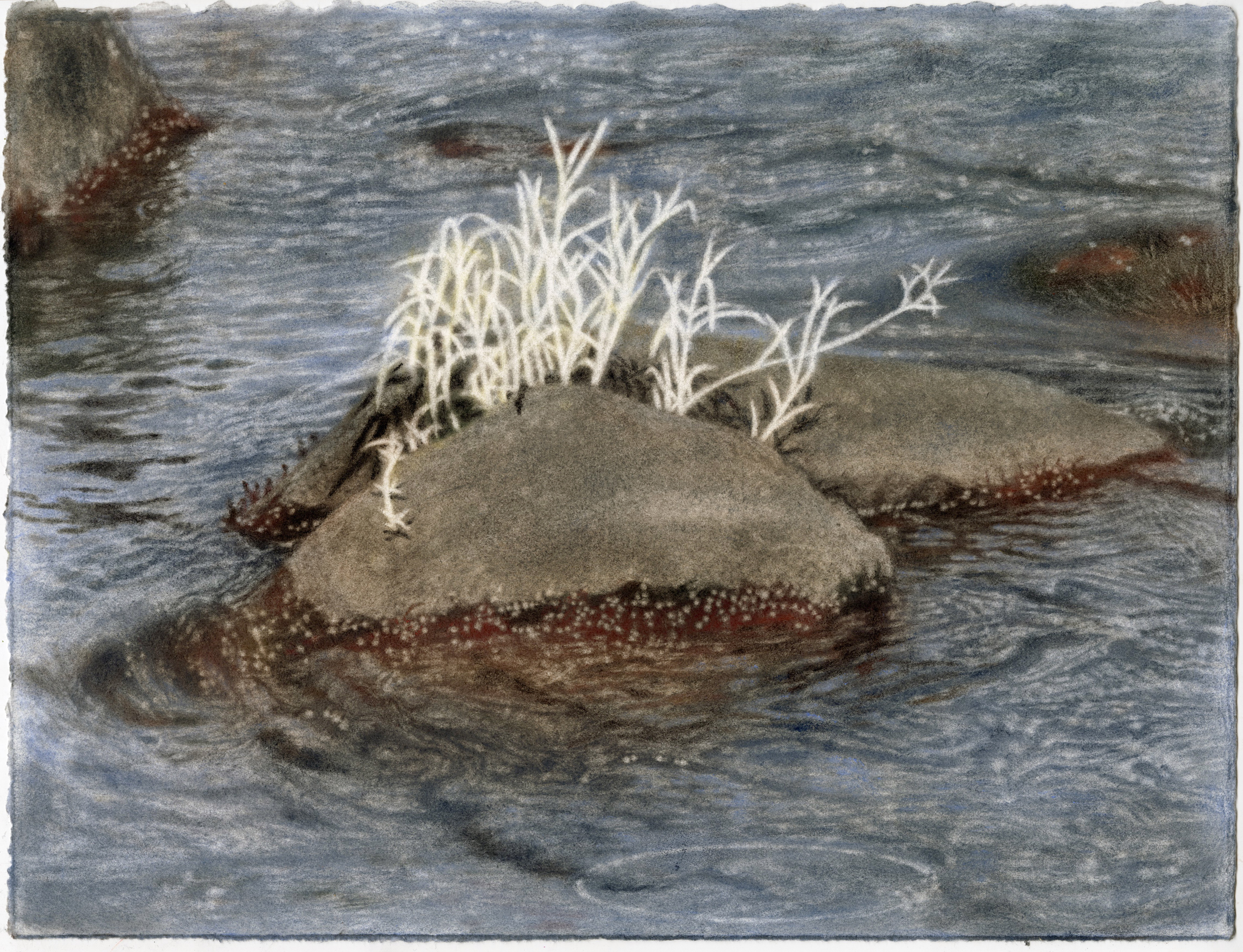 Light Beget these Organs, Running Water