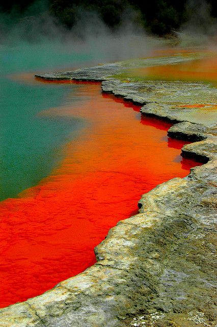 Champagne Pool. Wai-o-tapu geothermal area - New Zealand