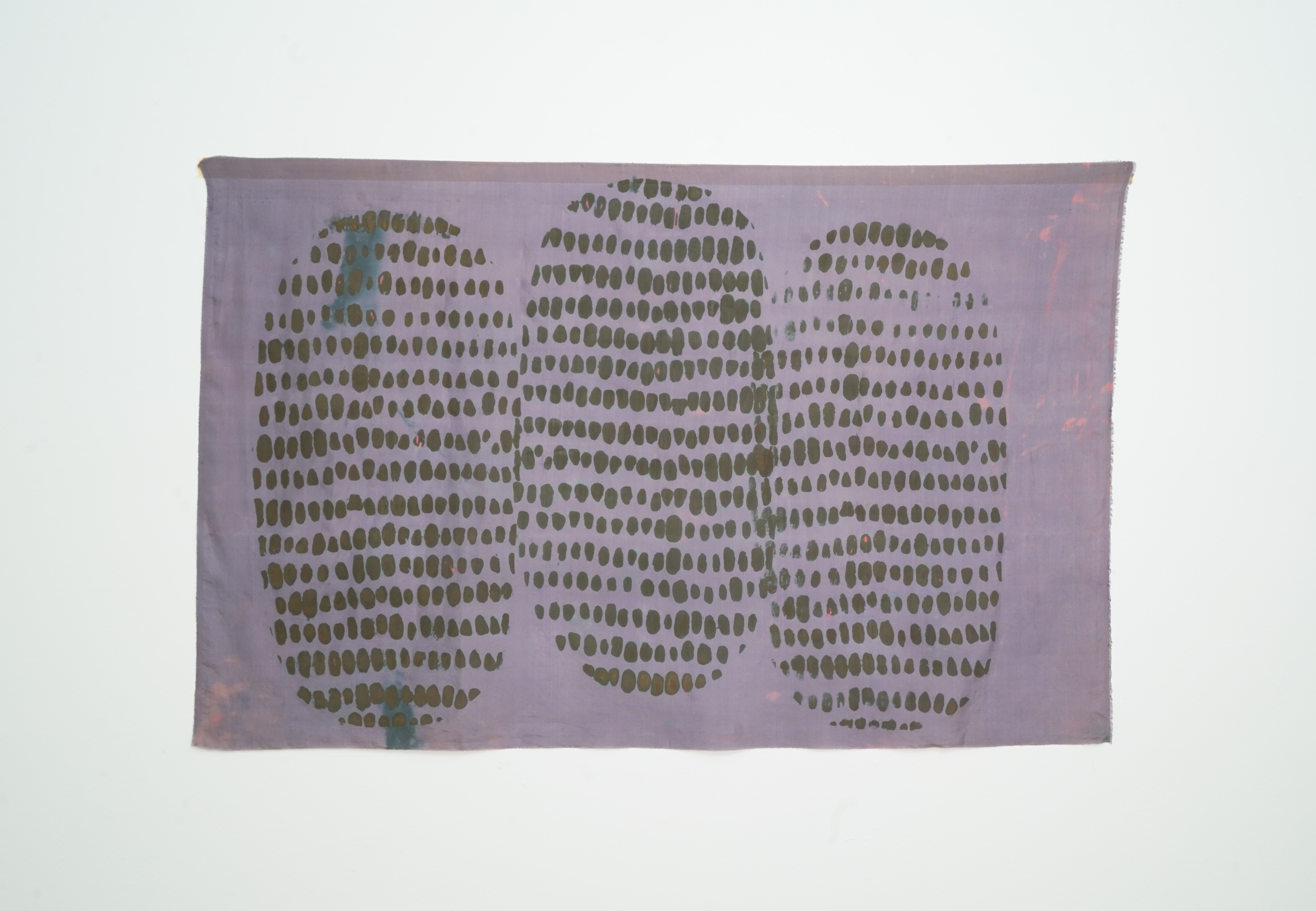 "Maíz Morado", 2024