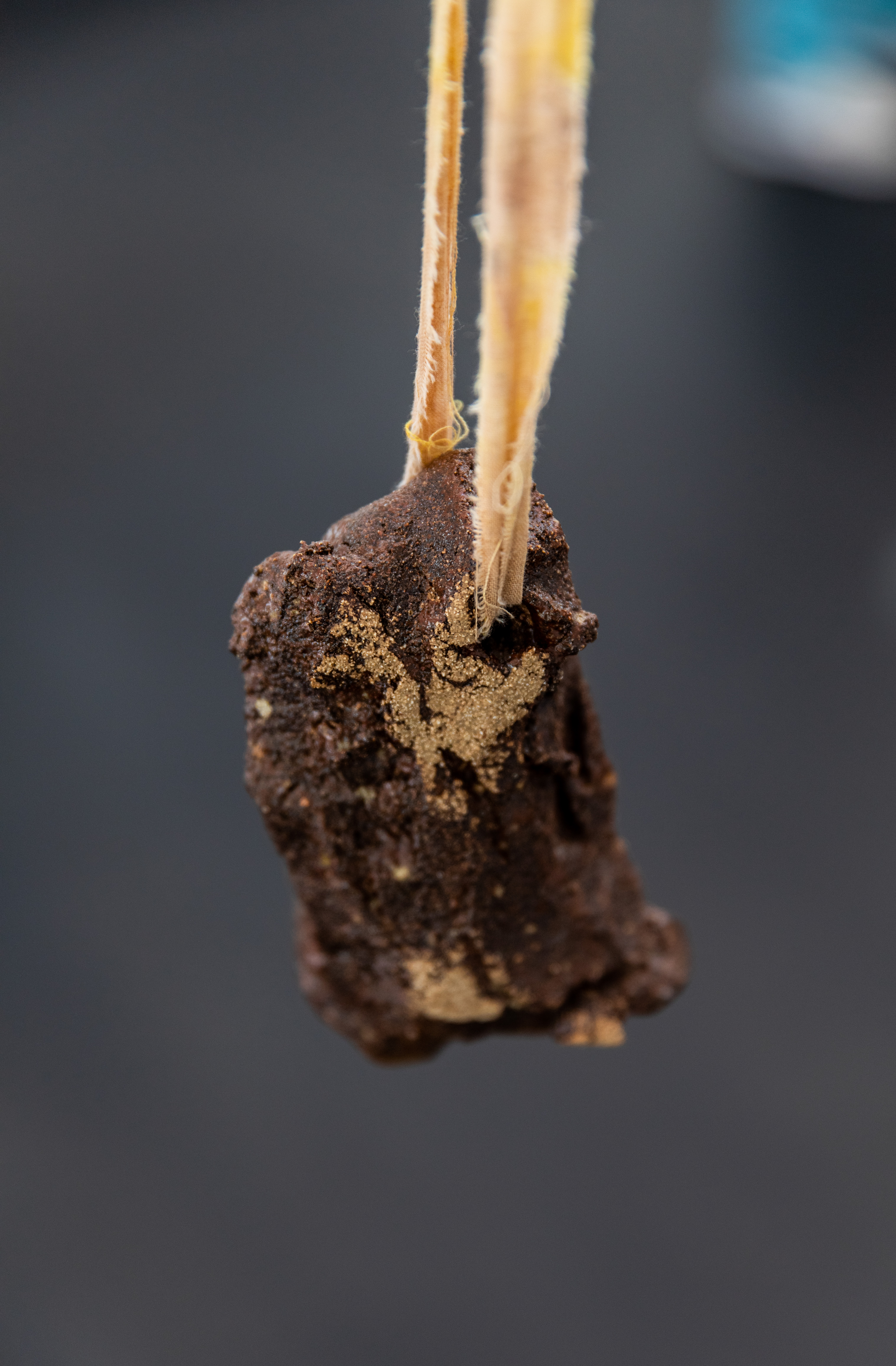 'Gathered', installed at Shop Front, 2022