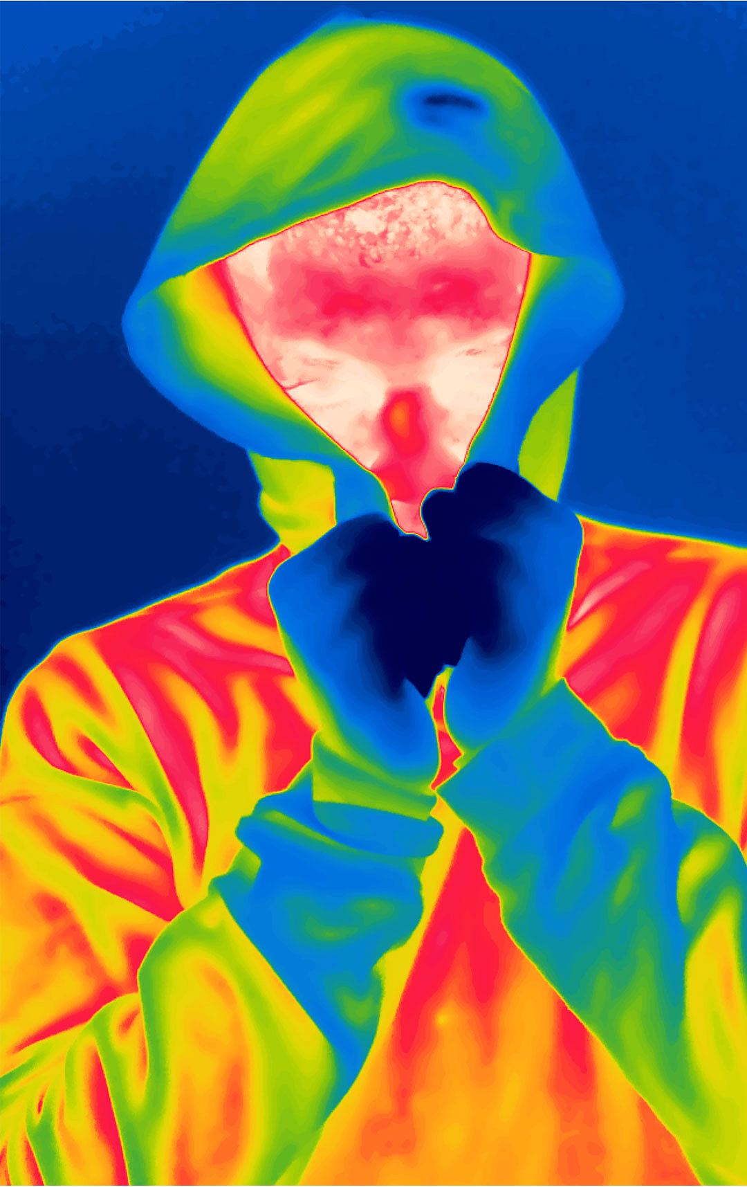 TOYOTA | WINTER WONDERLAND