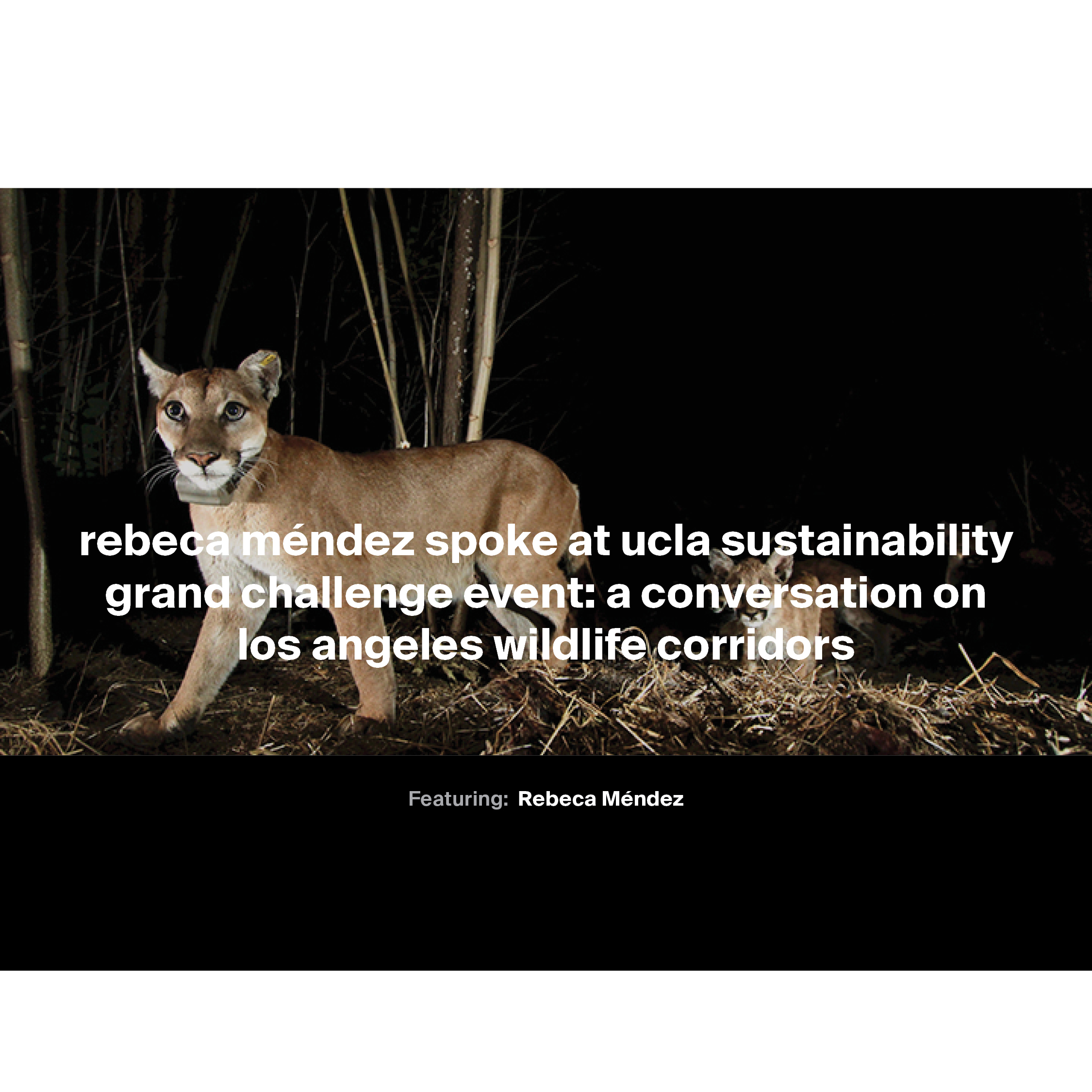 grand challenge event. sept 21, 2021