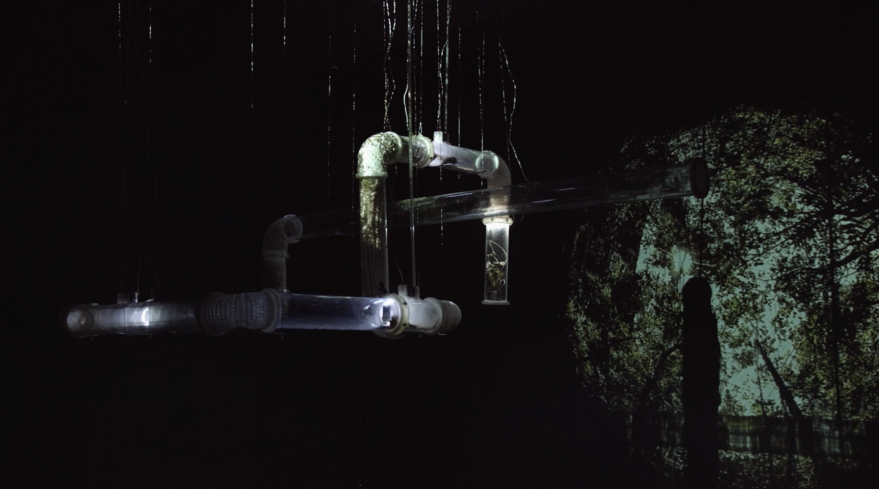 Art installation composed of acrylic tubes that visualize different circulation and filtrations processes of air particles