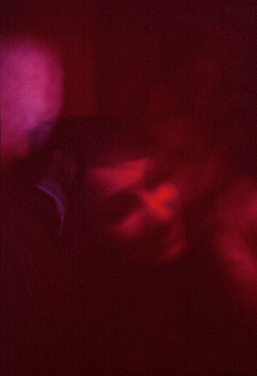 Irma und Liberty (Kraniche), 2015