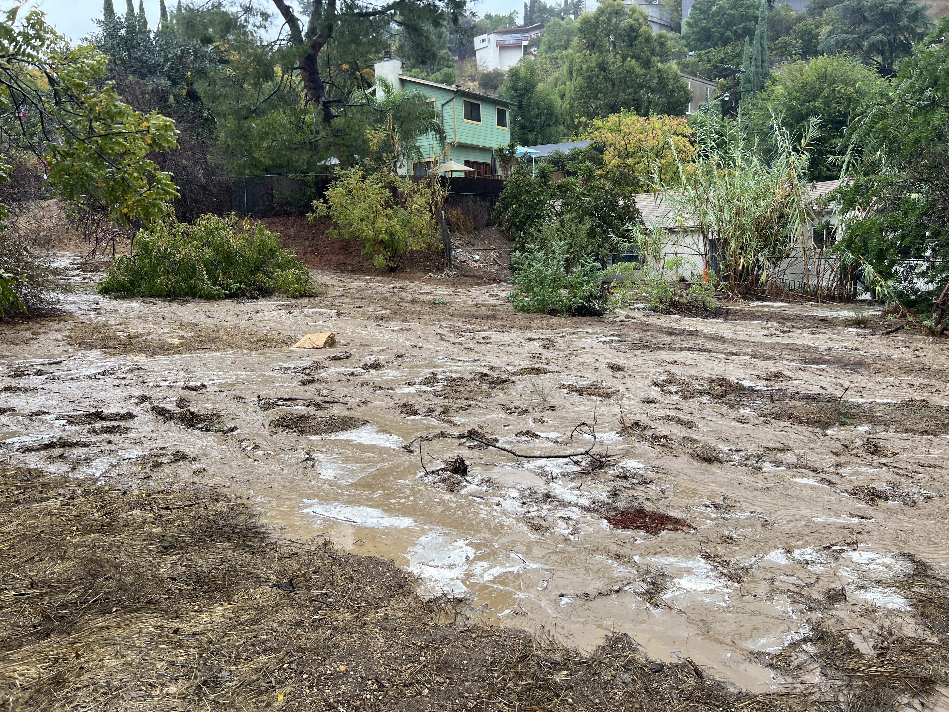 VS Fig 4. Photo from Nov. 8, 2022. 1.71&rdquo; that day. Photo Credit: Alex Robinson