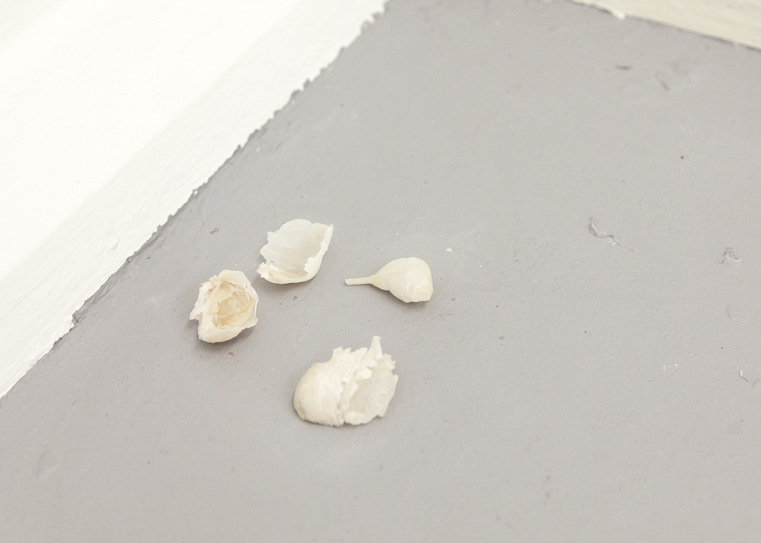 wax casts of garlic