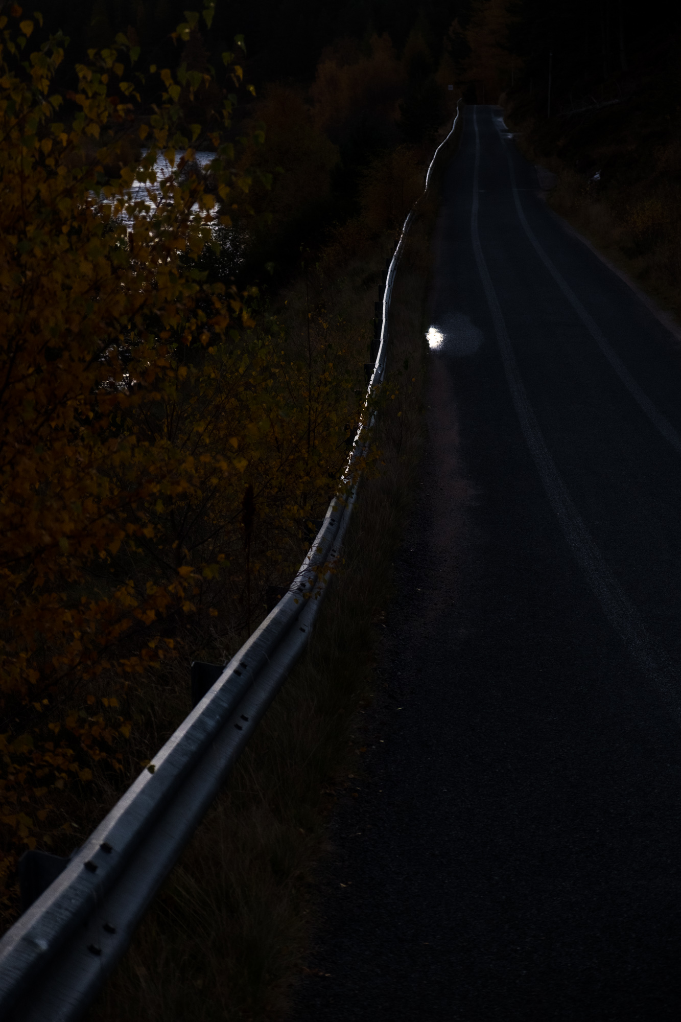 FV_Series_004_IMG_33_Guardrail