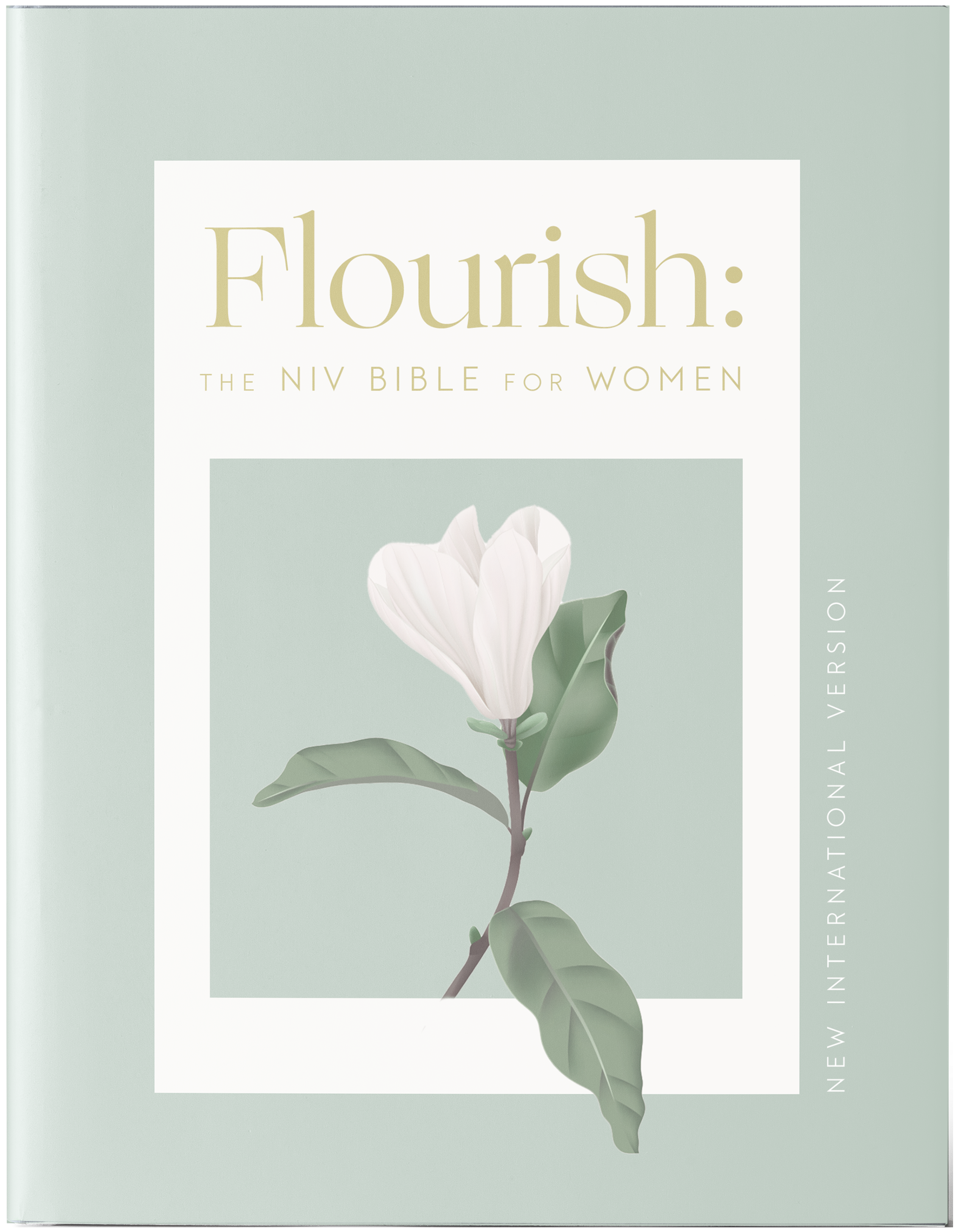 Art Direction: Rob Jelsema