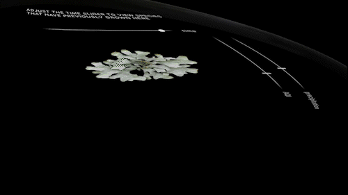 The user could scroll through time to see images of past lichens at the site and what the air quality and precipitation levels were at the time.