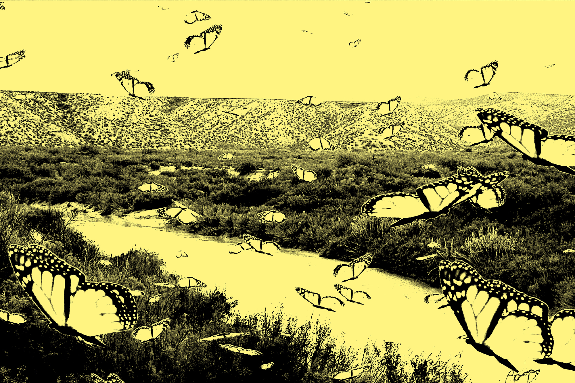 → migrations, 2024